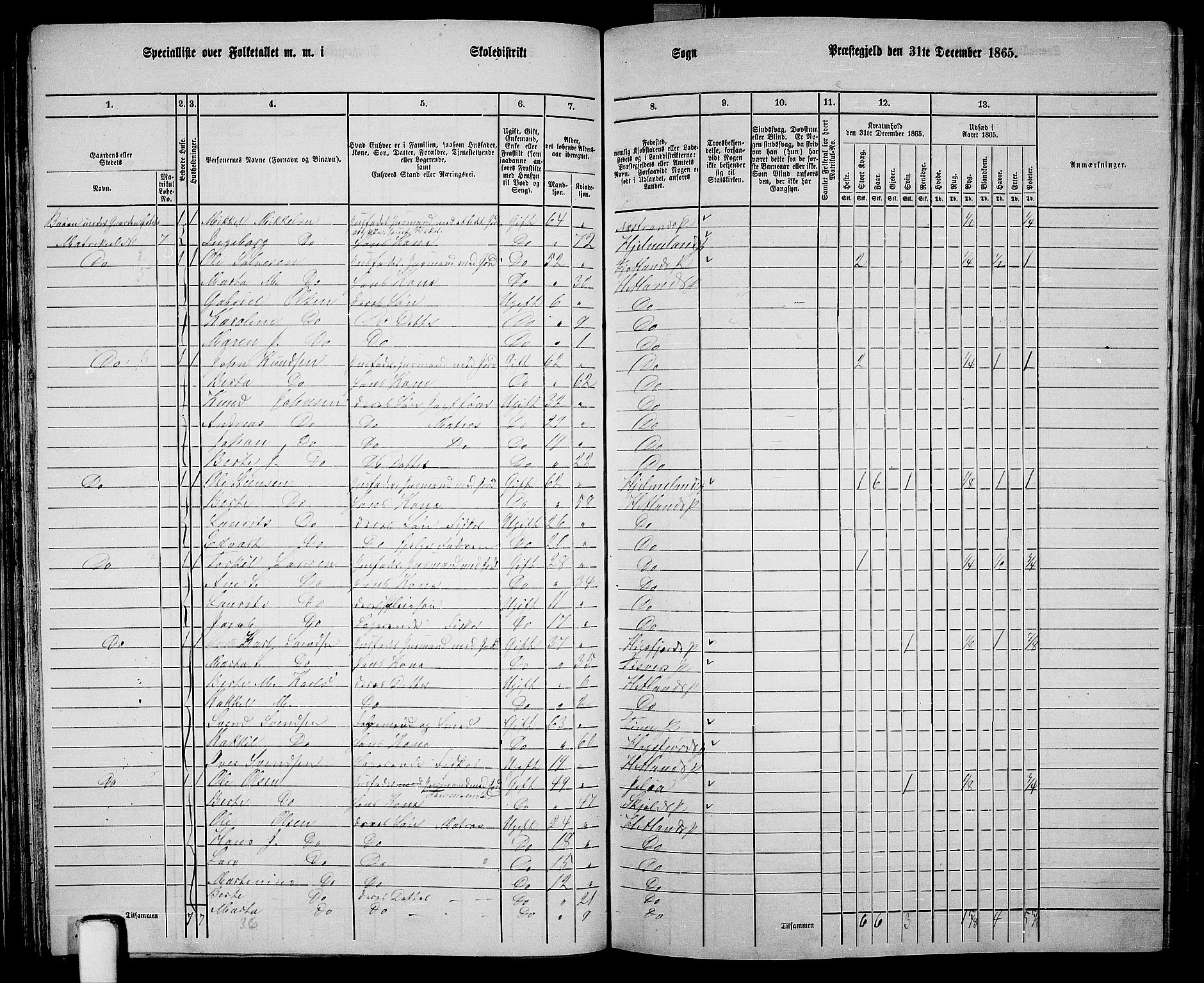 RA, 1865 census for Hetland, 1865, p. 53