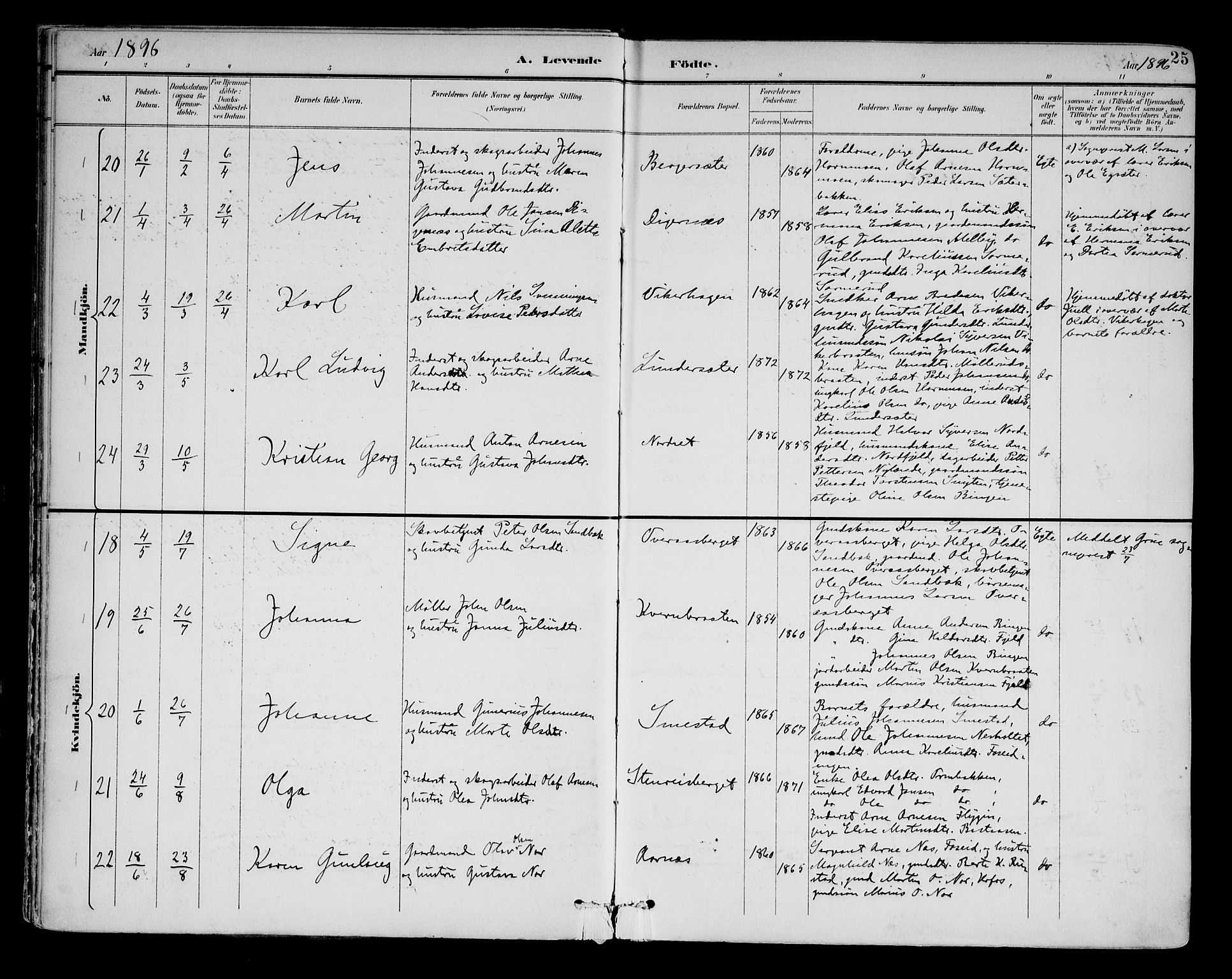 Brandval prestekontor, AV/SAH-PREST-034/H/Ha/Haa/L0003: Parish register (official) no. 3, 1894-1909, p. 25