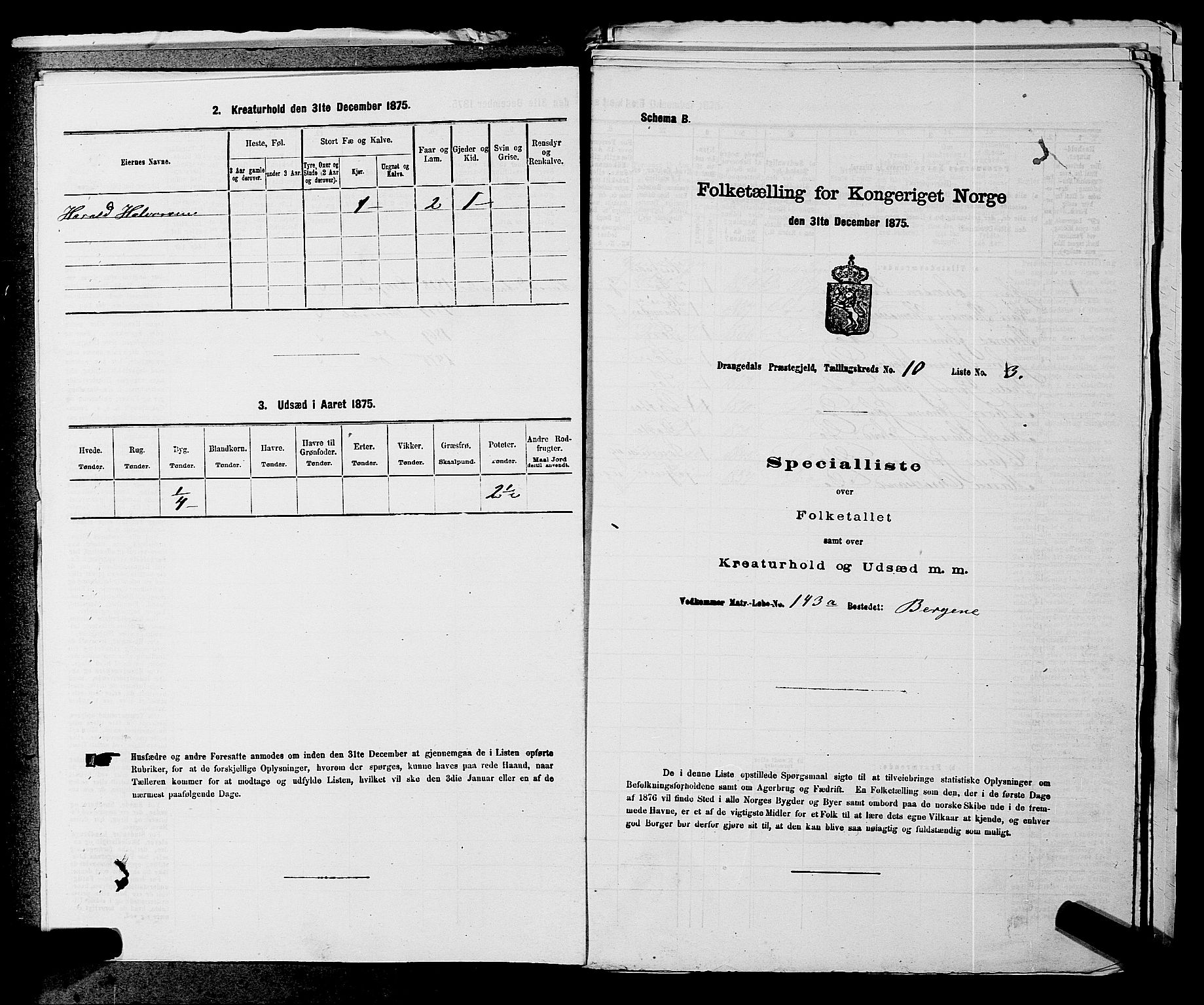 SAKO, 1875 census for 0817P Drangedal, 1875, p. 1009