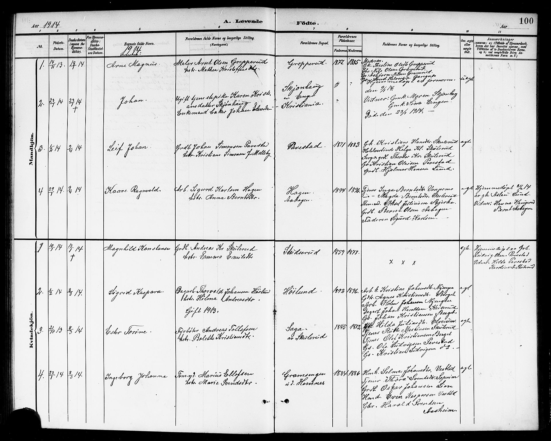 Høland prestekontor Kirkebøker, AV/SAO-A-10346a/G/Gb/L0001: Parish register (copy) no. II 1, 1902-1919, p. 100