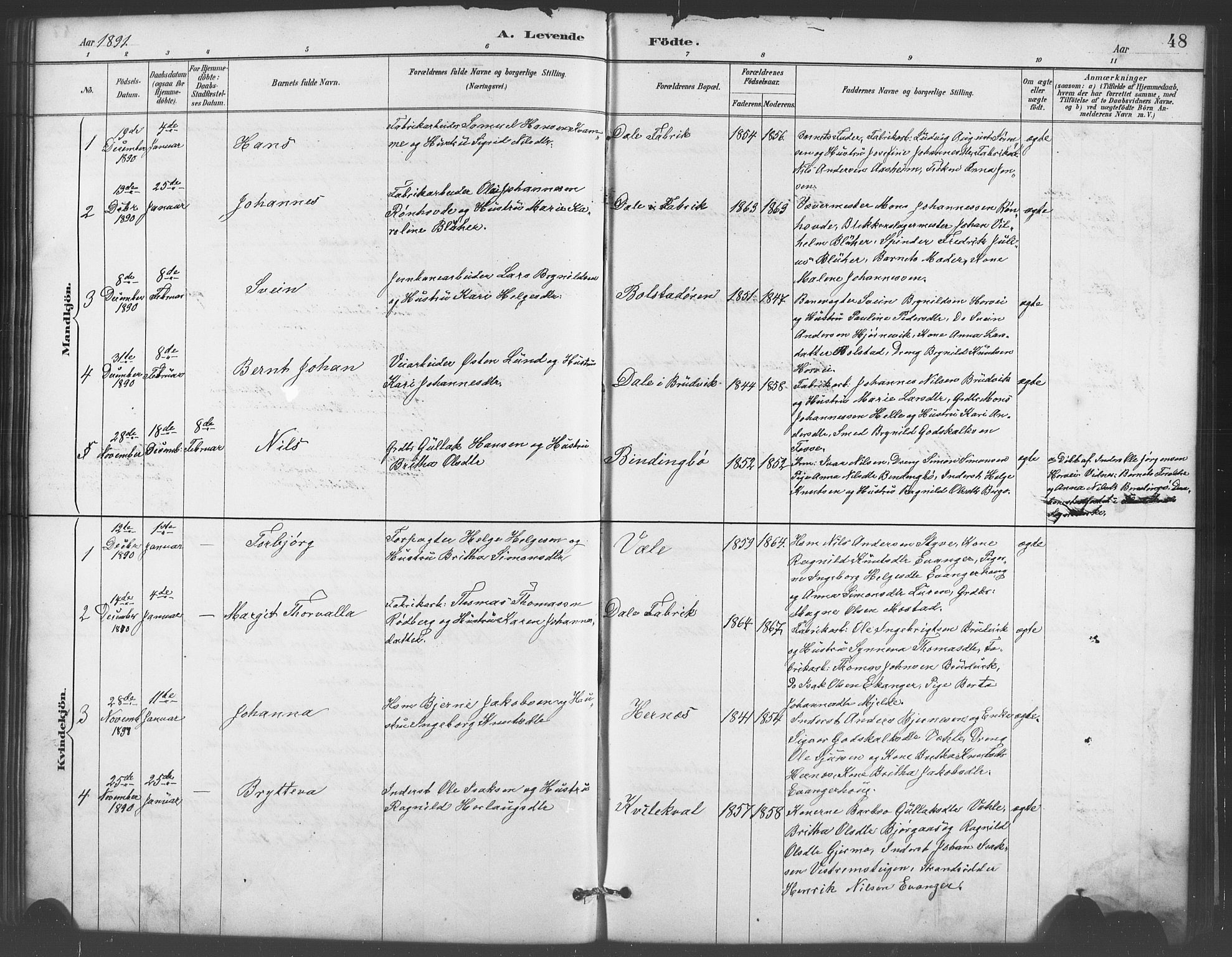 Evanger sokneprestembete, SAB/A-99924: Parish register (copy) no. A 4, 1887-1897, p. 48