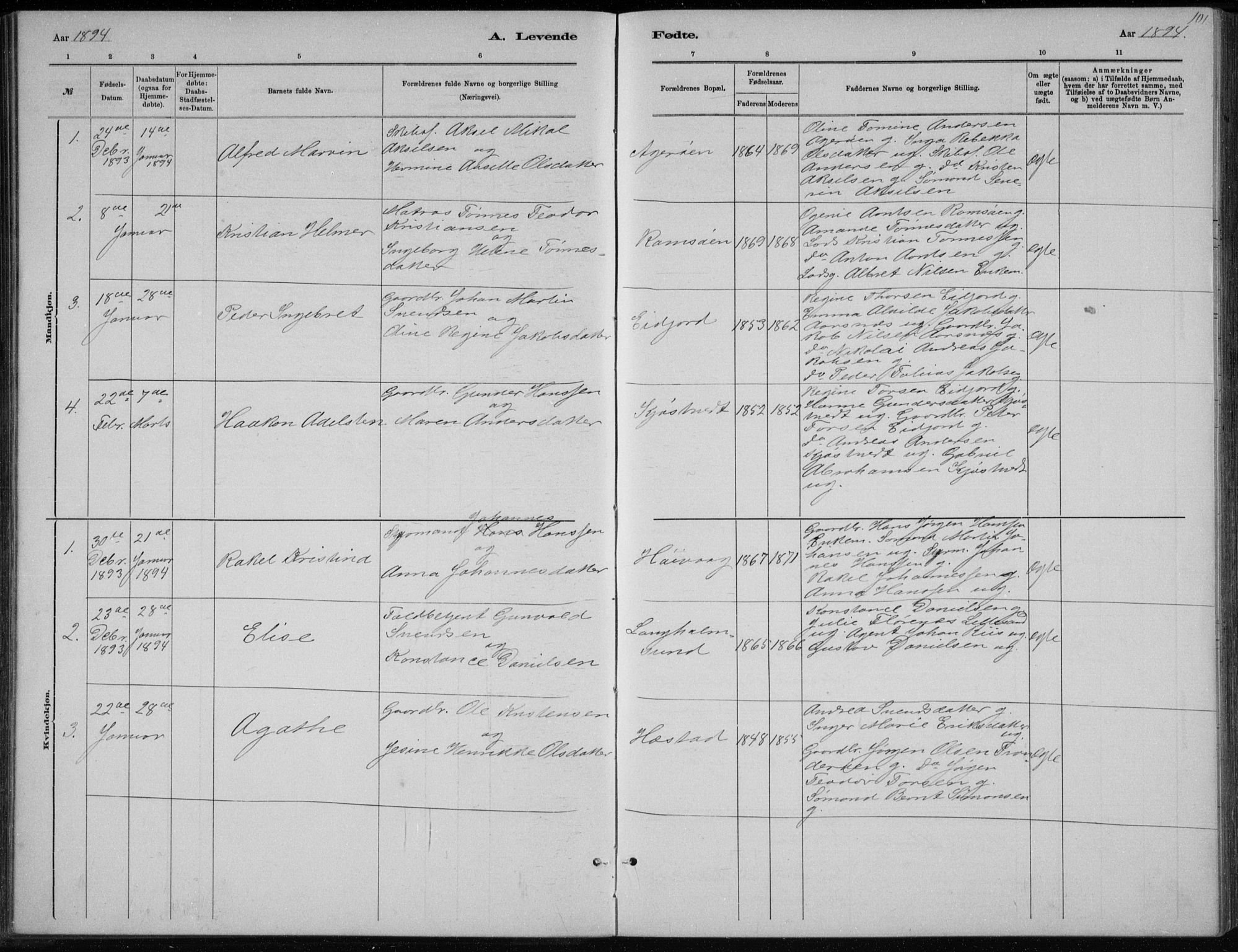 Høvåg sokneprestkontor, SAK/1111-0025/F/Fb/L0004: Parish register (copy) no. B 4, 1883-1898, p. 101