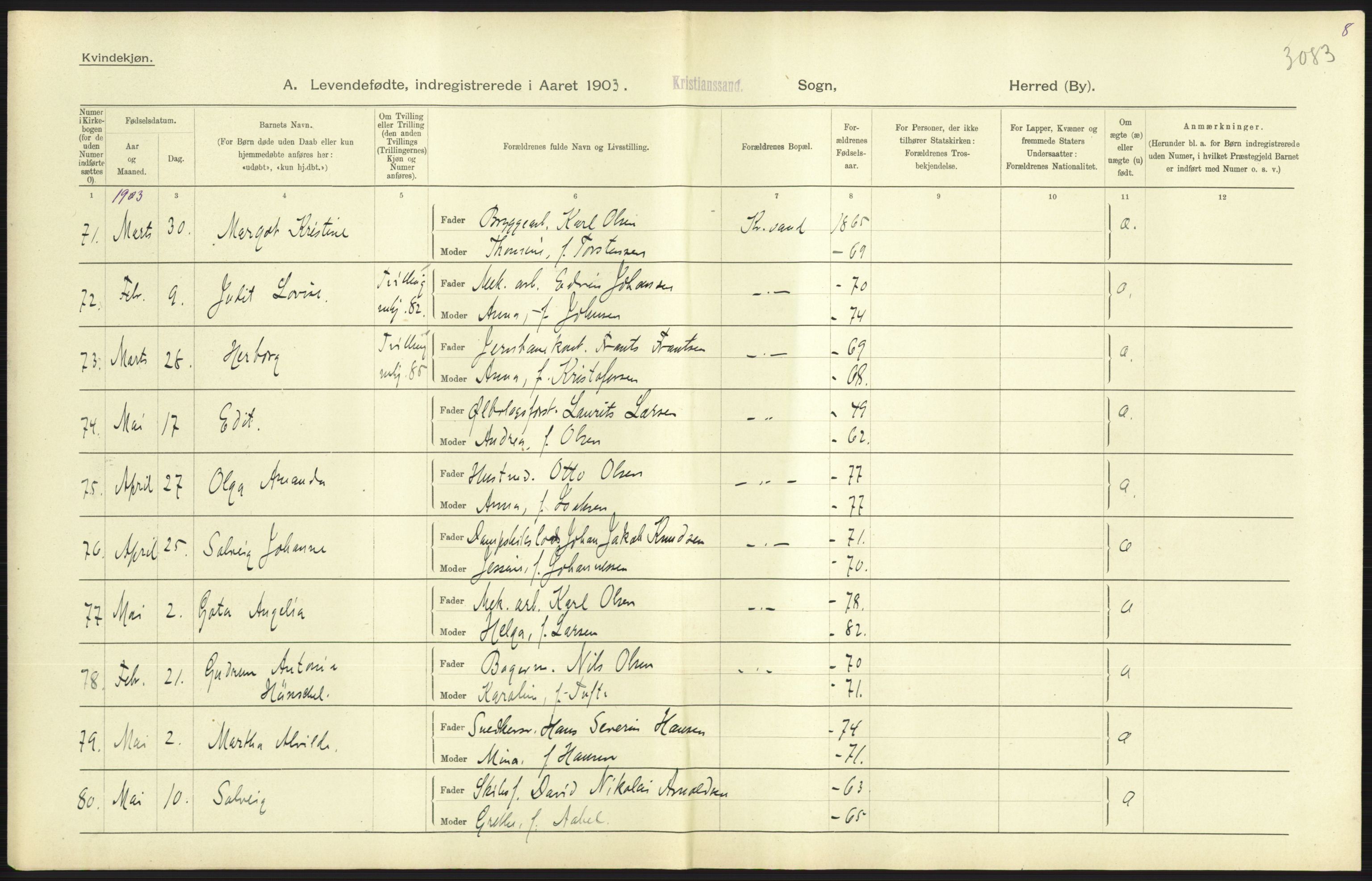 Statistisk sentralbyrå, Sosiodemografiske emner, Befolkning, AV/RA-S-2228/D/Df/Dfa/Dfaa/L0011: Lister og Mandal amt: Fødte, gifte, døde, 1903, p. 257