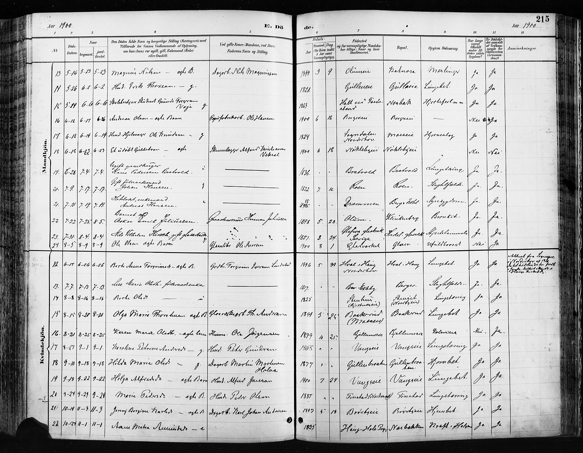 Jevnaker prestekontor, AV/SAH-PREST-116/H/Ha/Haa/L0009: Parish register (official) no. 9, 1891-1901, p. 215