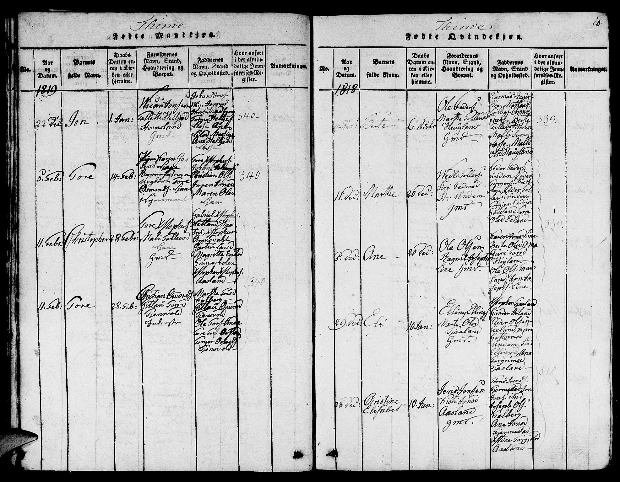 Lye sokneprestkontor, SAST/A-101794/001/30BB/L0001: Parish register (copy) no. B 1 /1, 1816-1826, p. 20