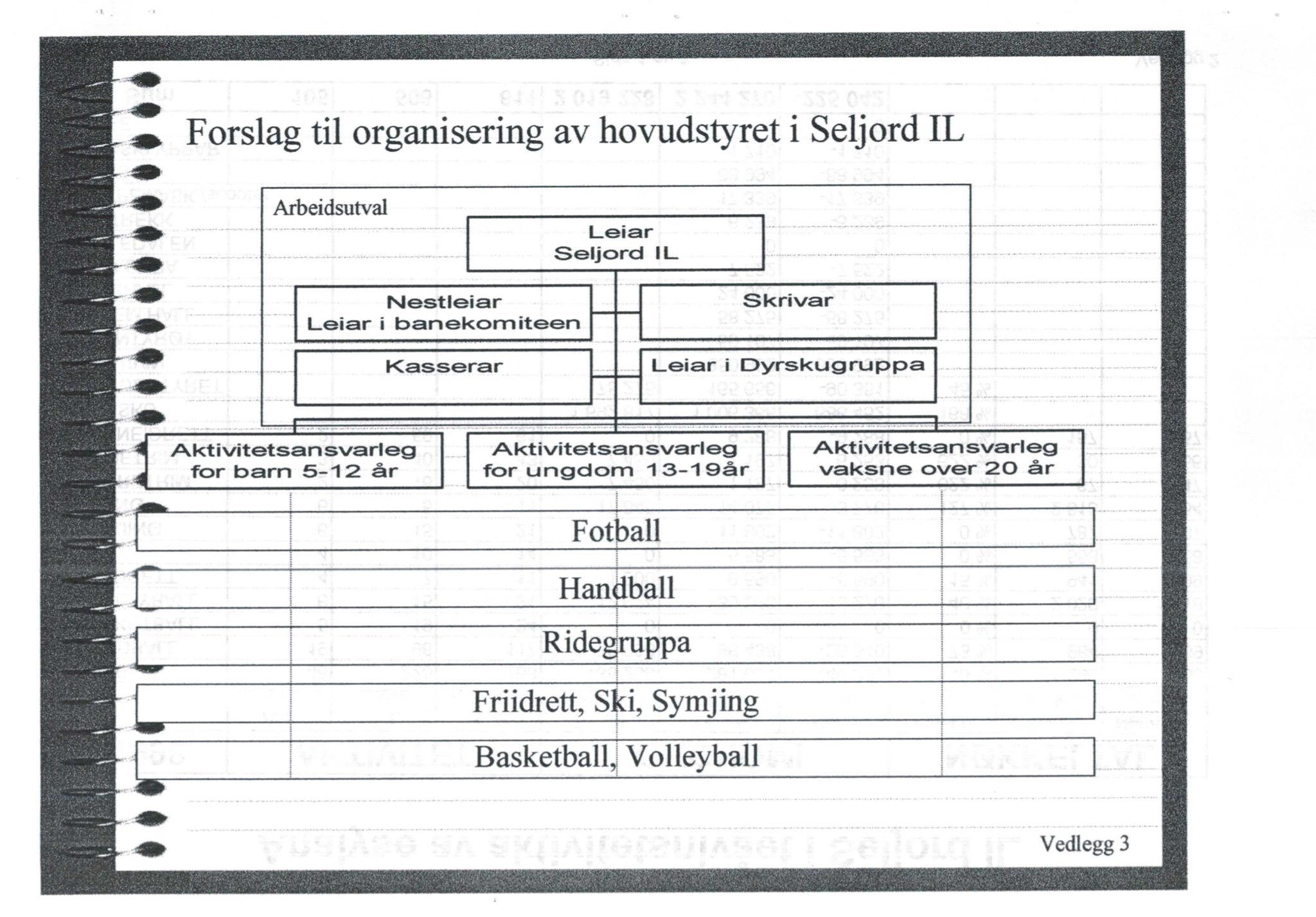 Seljord Idrettslag, VTM/A-1034/A/Ab/L0002: Årsmeldingar, 1998, p. 39