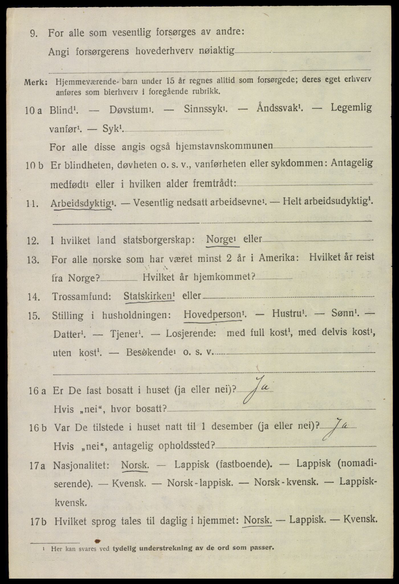 SAT, 1920 census for Bø, 1920, p. 9985