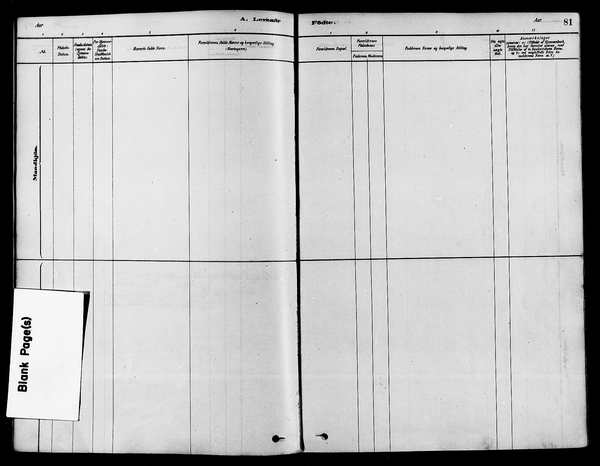 Sigdal kirkebøker, AV/SAKO-A-245/F/Fa/L0011: Parish register (official) no. I 11, 1879-1887, p. 81