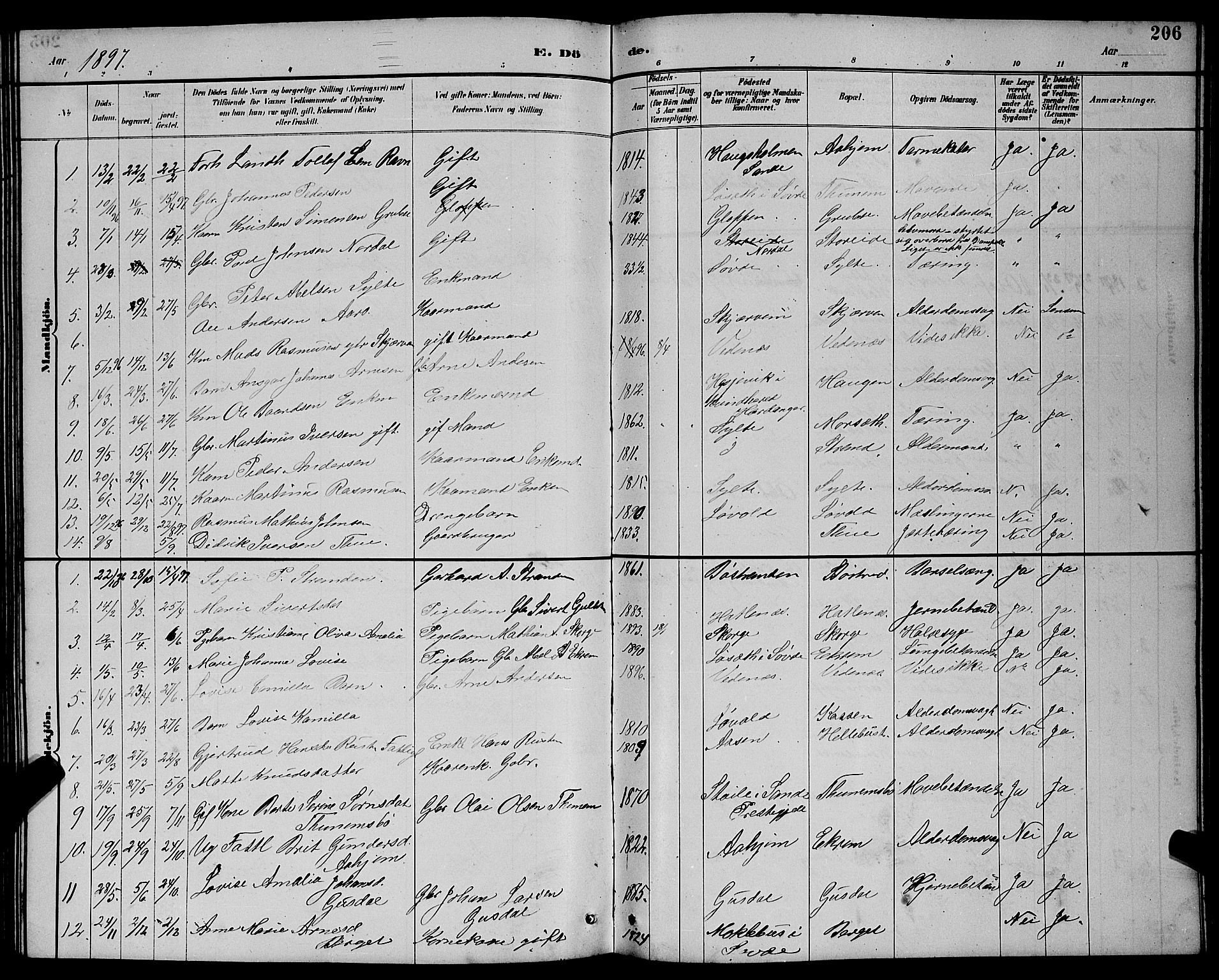 Ministerialprotokoller, klokkerbøker og fødselsregistre - Møre og Romsdal, AV/SAT-A-1454/501/L0017: Parish register (copy) no. 501C03, 1885-1901, p. 206