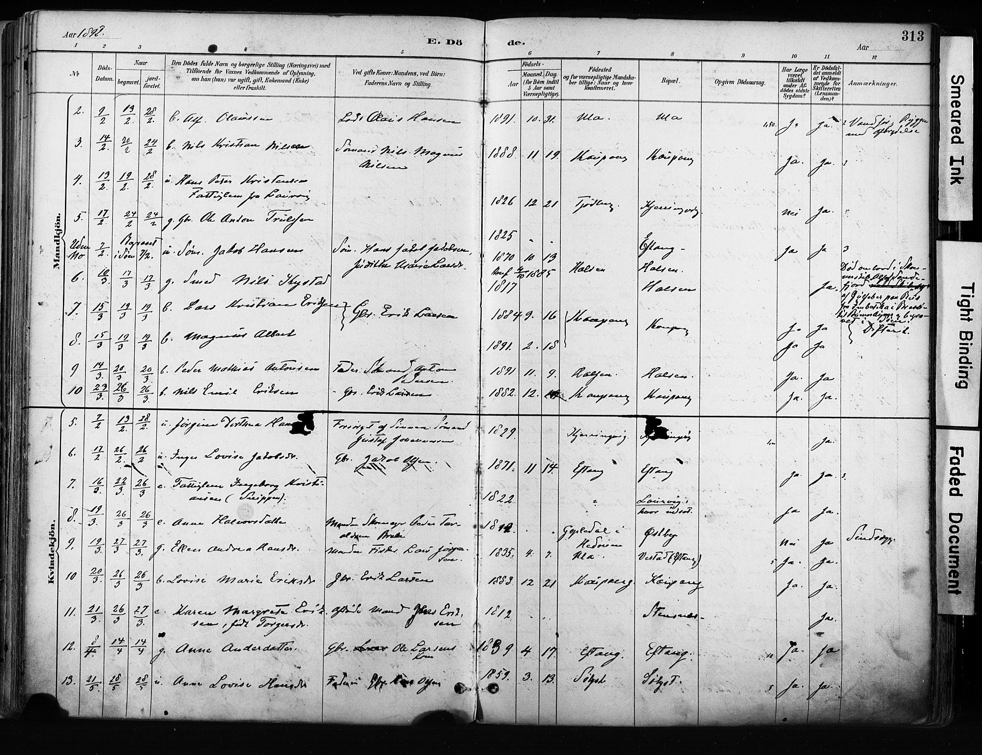 Tjølling kirkebøker, AV/SAKO-A-60/F/Fa/L0009: Parish register (official) no. 9, 1887-1905, p. 313