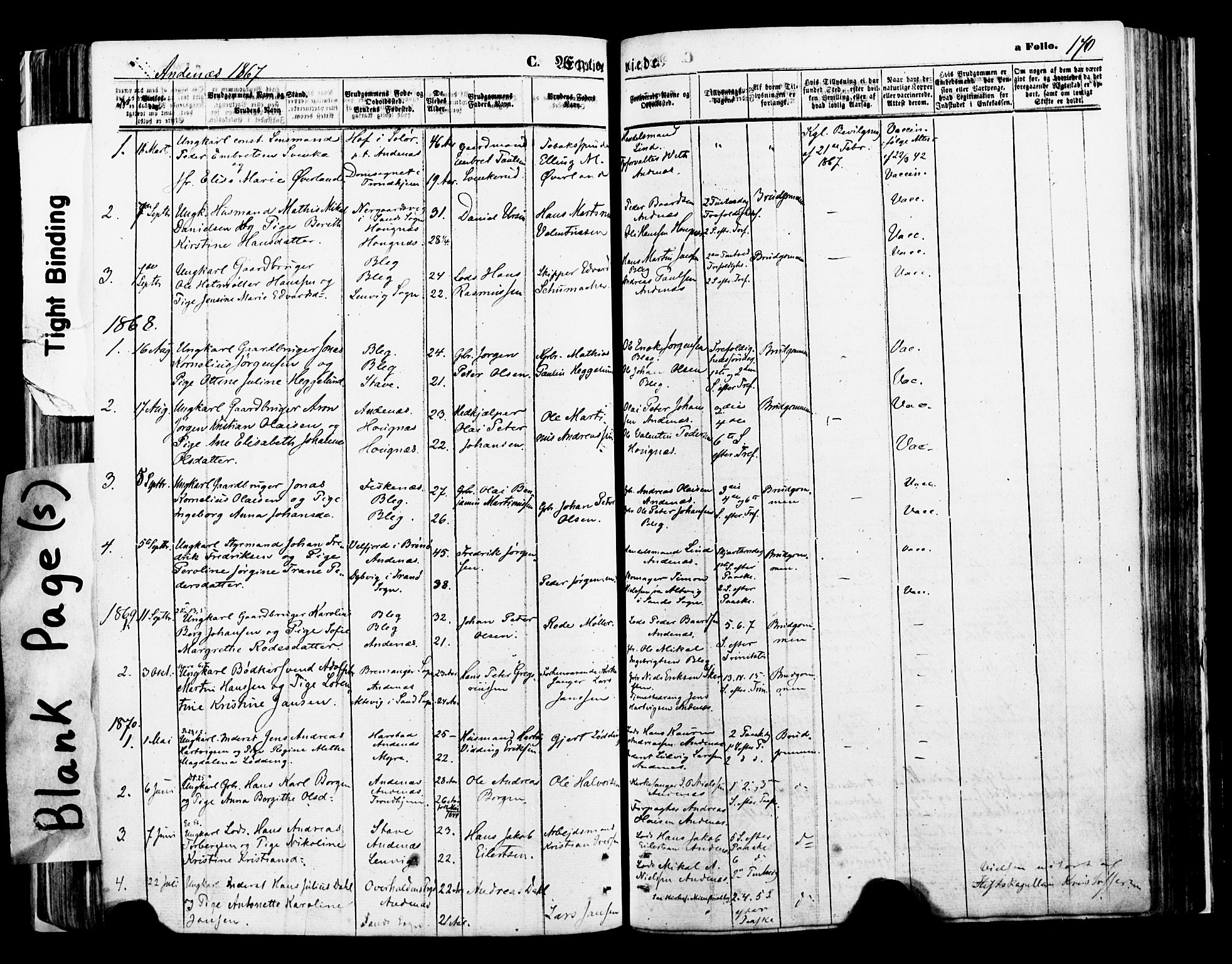 Ministerialprotokoller, klokkerbøker og fødselsregistre - Nordland, AV/SAT-A-1459/897/L1398: Parish register (official) no. 897A05 /2, 1867-1880, p. 170