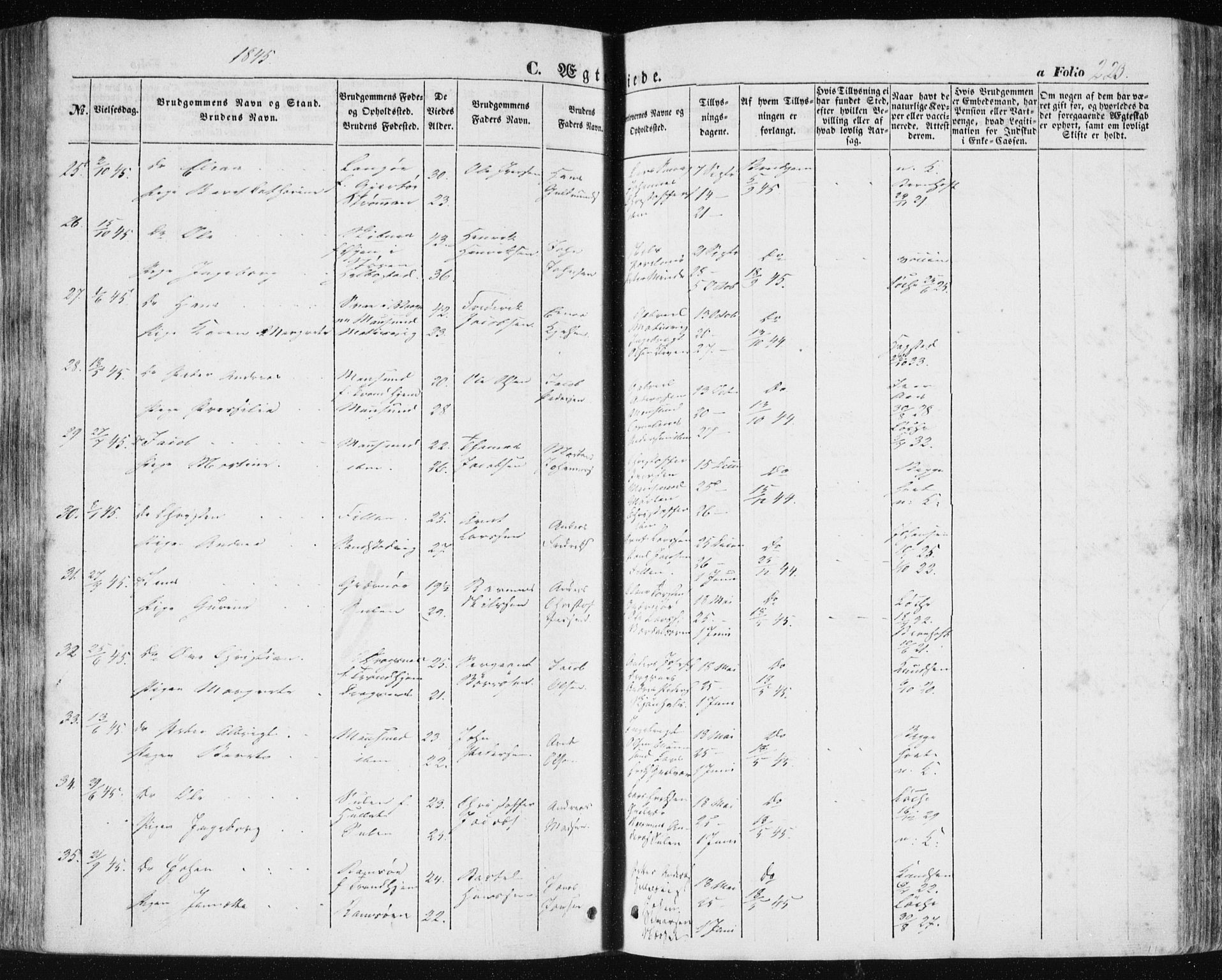 Ministerialprotokoller, klokkerbøker og fødselsregistre - Sør-Trøndelag, AV/SAT-A-1456/634/L0529: Parish register (official) no. 634A05, 1843-1851, p. 223