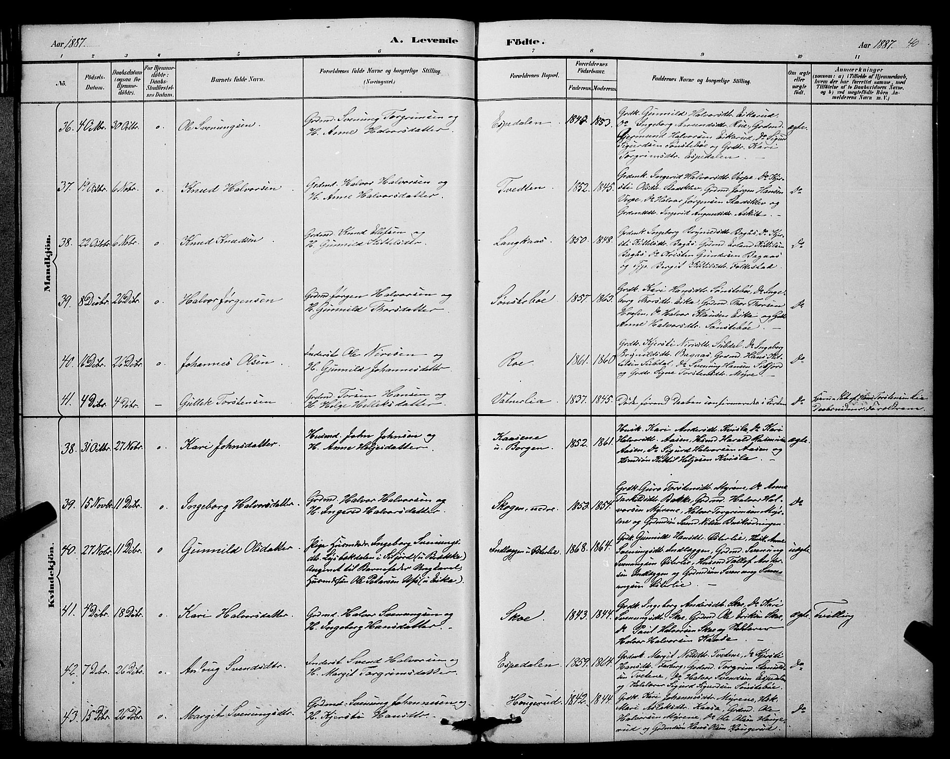 Bø kirkebøker, SAKO/A-257/G/Ga/L0005: Parish register (copy) no. 5, 1883-1897, p. 40