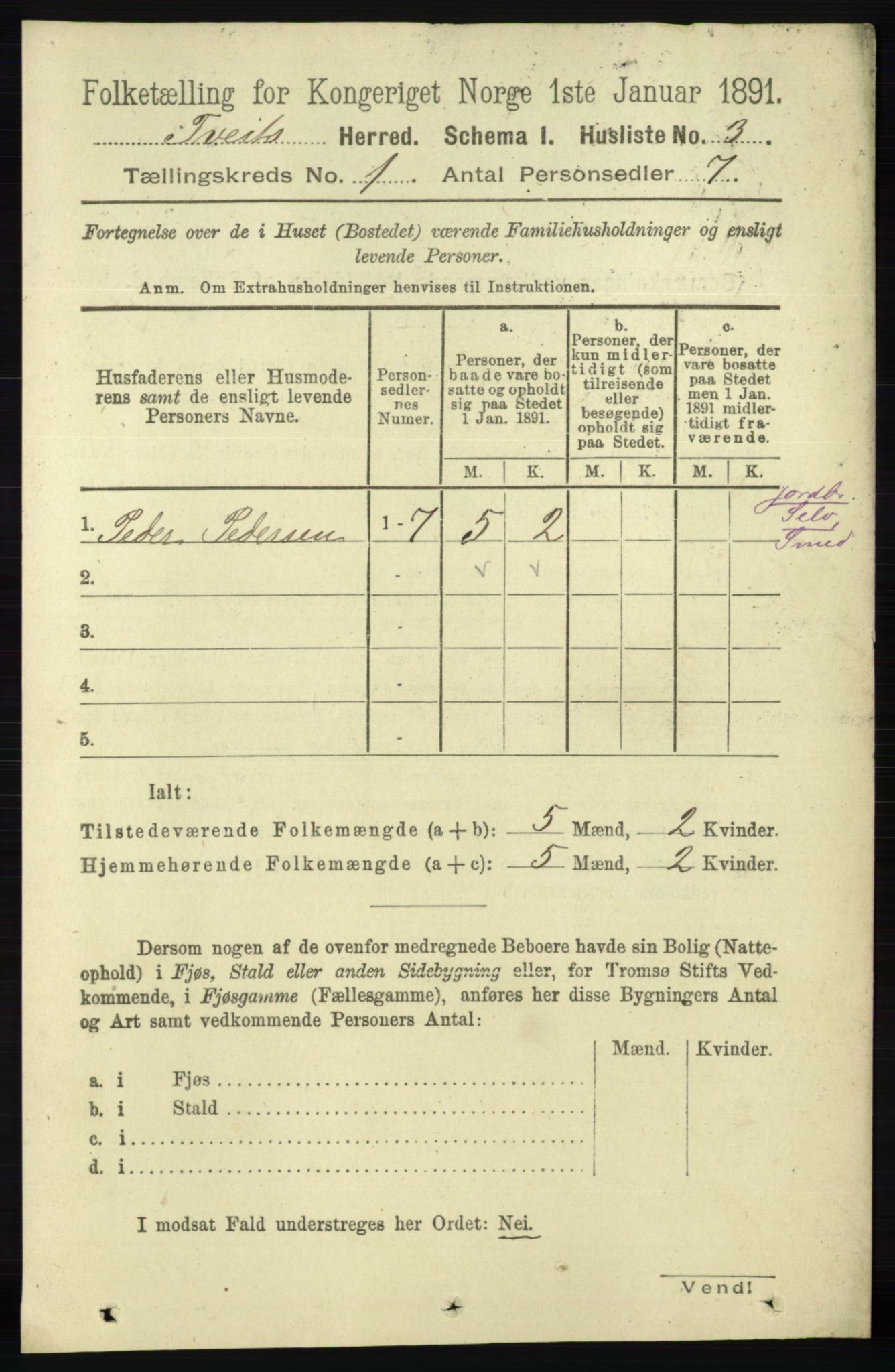 RA, 1891 census for 1013 Tveit, 1891, p. 17