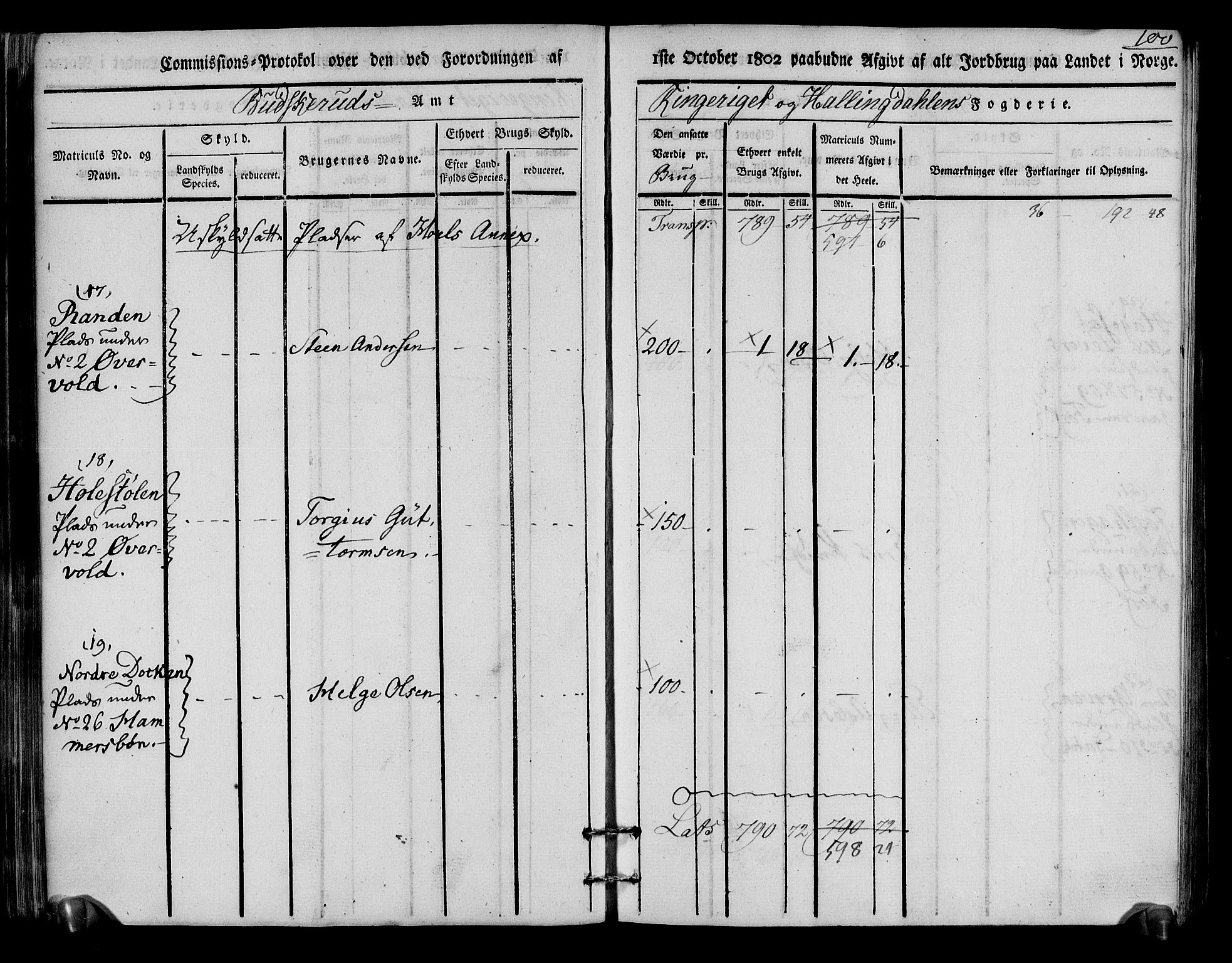 Rentekammeret inntil 1814, Realistisk ordnet avdeling, RA/EA-4070/N/Ne/Nea/L0048: Ringerike og Hallingdal fogderi. Kommisjonsprotokoll for Ål prestegjeld, 1803, p. 104