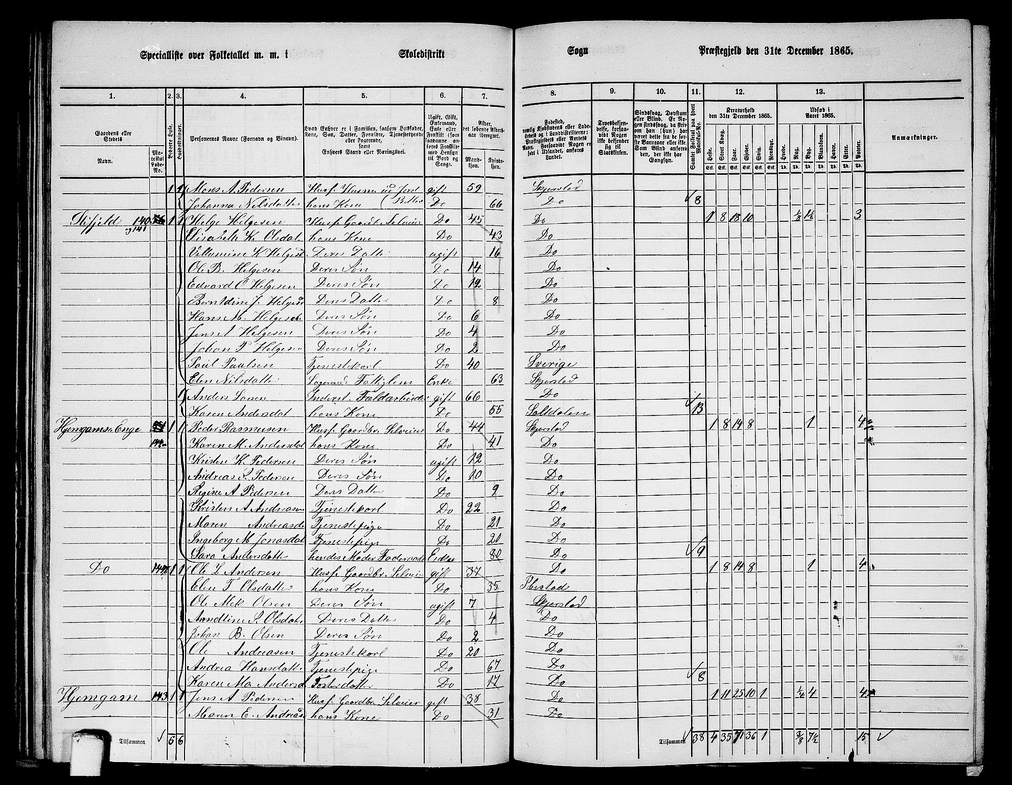 RA, 1865 census for Skjerstad, 1865, p. 80