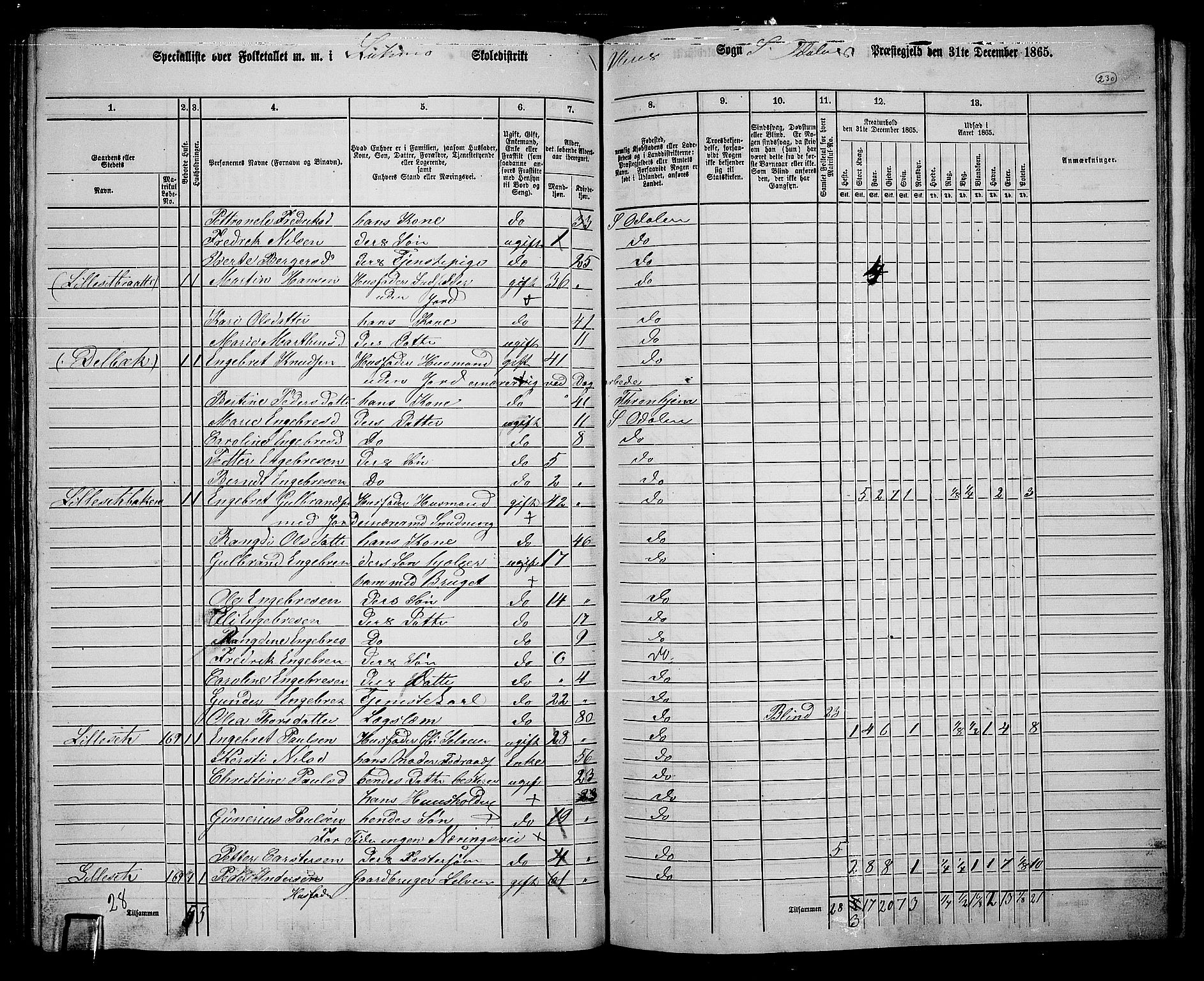 RA, 1865 census for Sør-Odal, 1865, p. 201