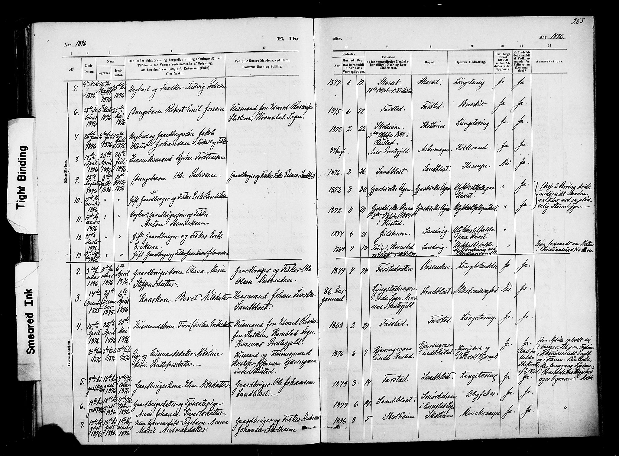 Ministerialprotokoller, klokkerbøker og fødselsregistre - Møre og Romsdal, AV/SAT-A-1454/567/L0778: Parish register (official) no. 567A01, 1881-1903, p. 265