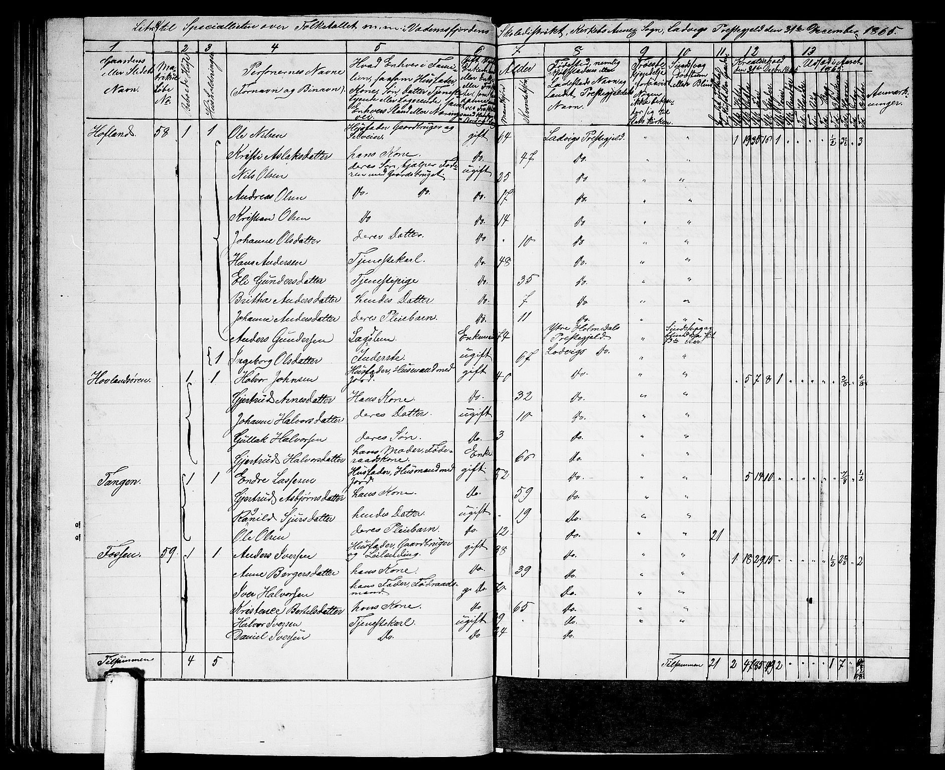 RA, 1865 census for Lavik, 1865, p. 57