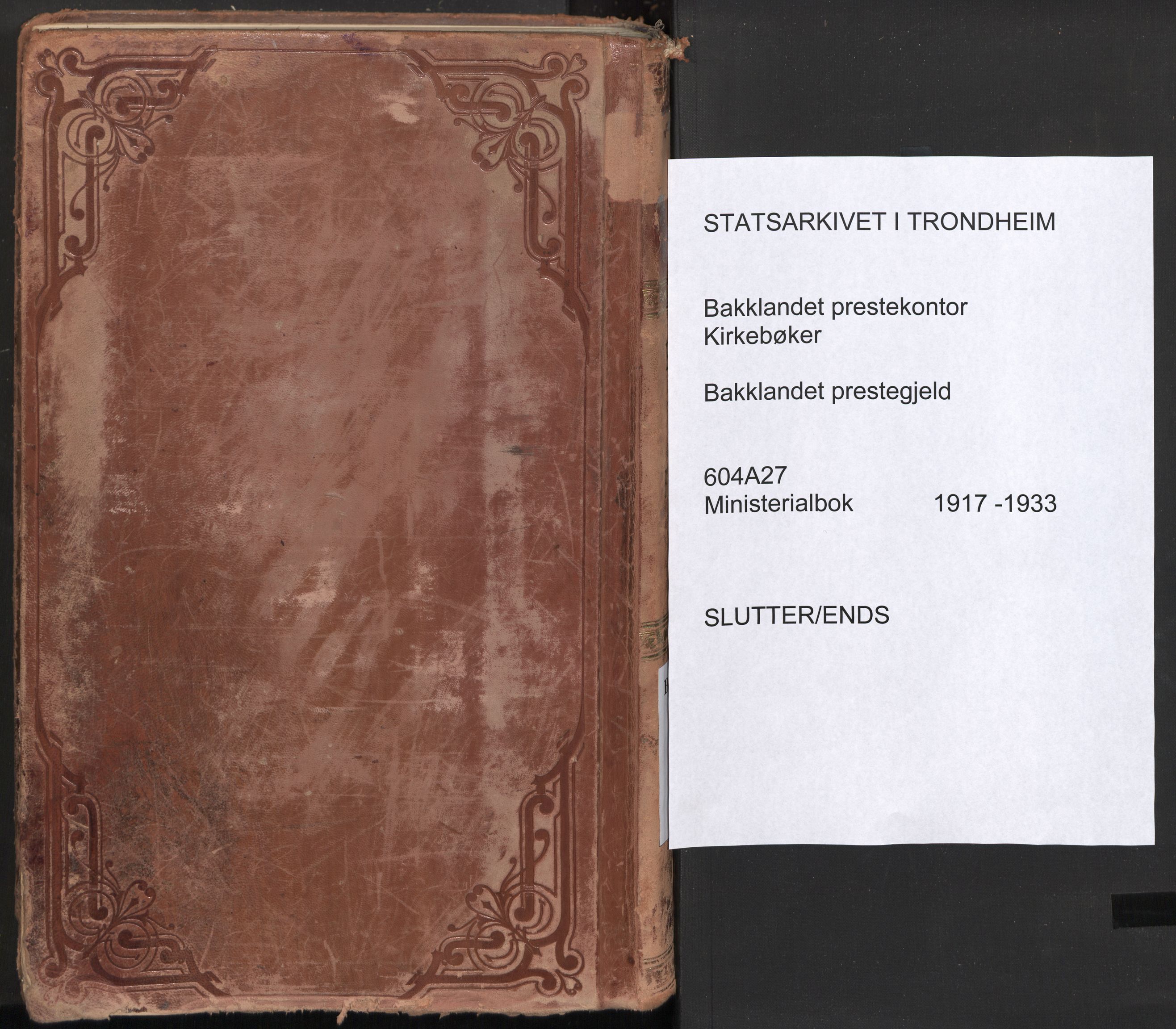 Ministerialprotokoller, klokkerbøker og fødselsregistre - Sør-Trøndelag, SAT/A-1456/604/L0207: Parish register (official) no. 604A27, 1917-1933