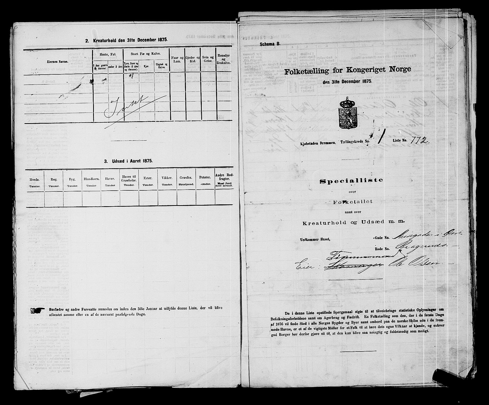 SAKO, 1875 census for 0602 Drammen, 1875, p. 136
