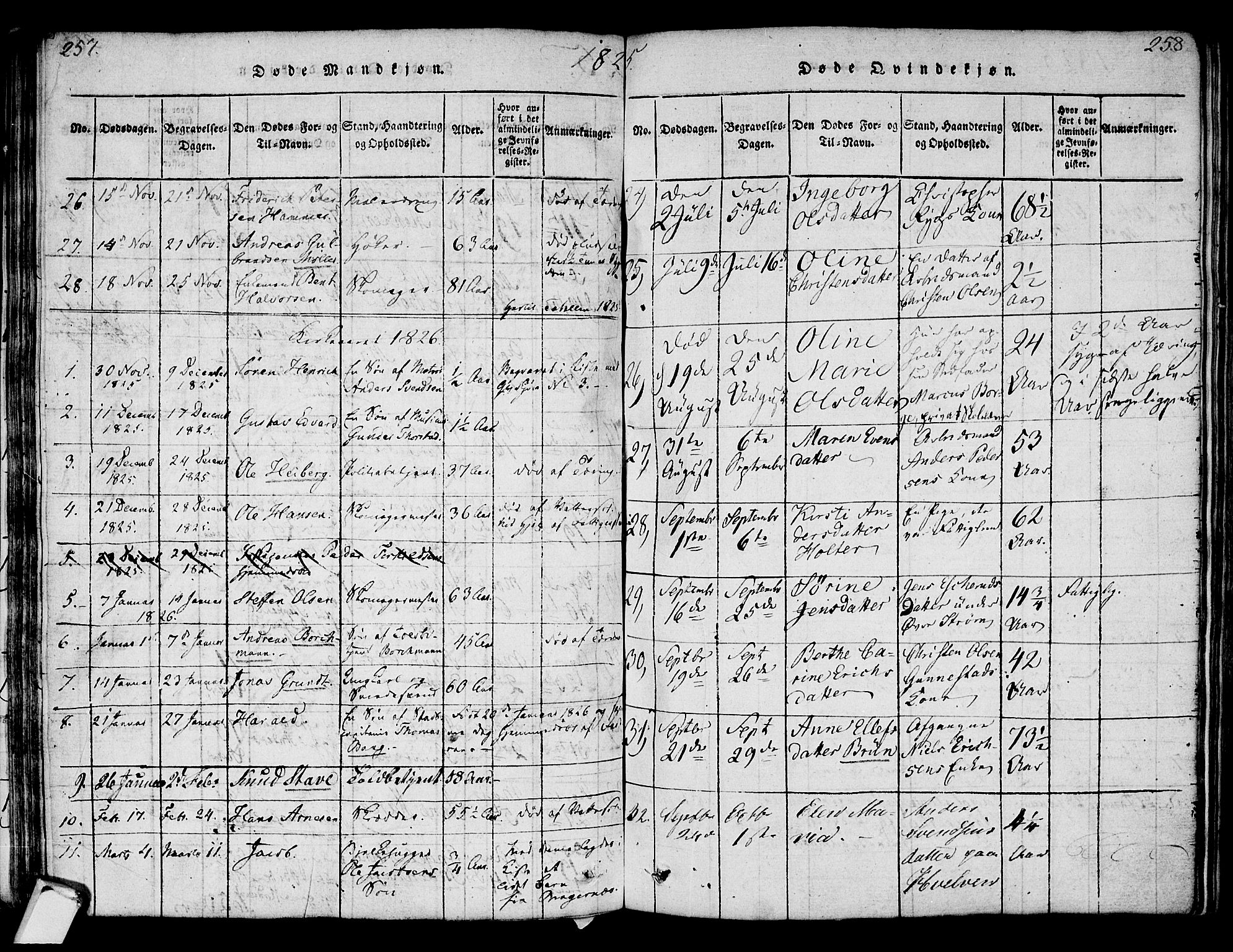 Strømsø kirkebøker, AV/SAKO-A-246/F/Fa/L0011: Parish register (official) no. I 11, 1815-1829, p. 257-258