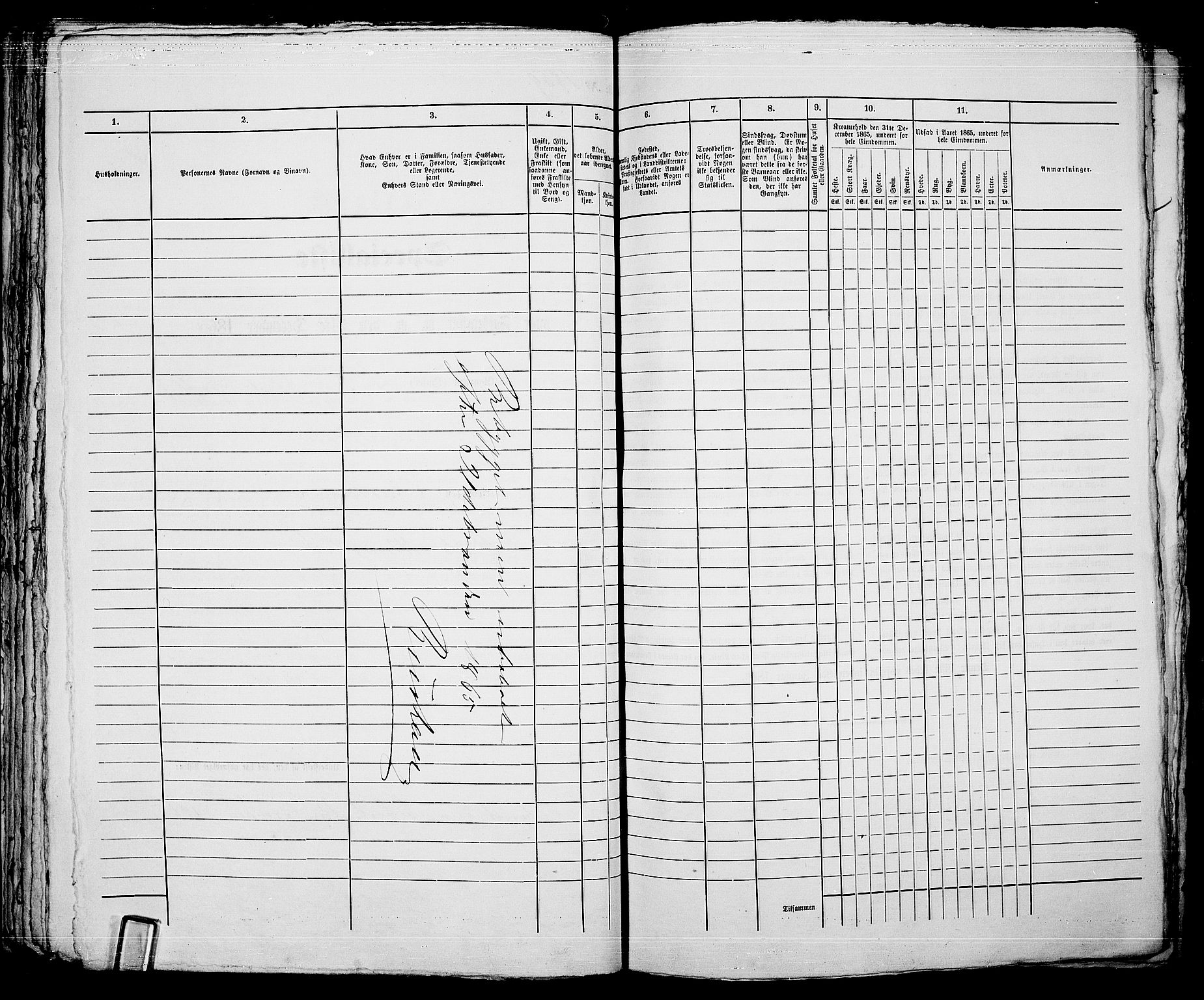 RA, 1865 census for Kristiania, 1865, p. 4172