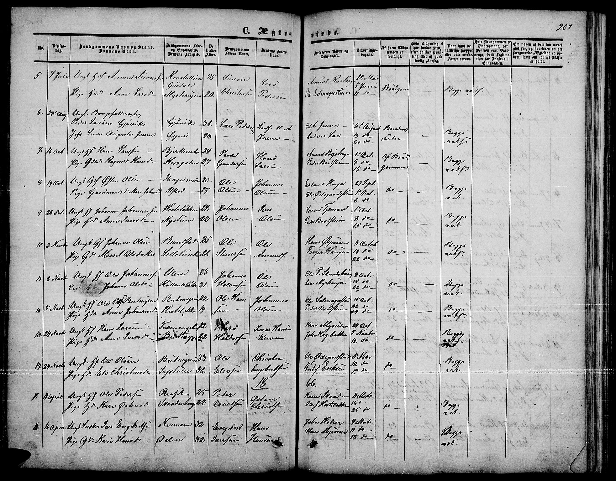 Nord-Fron prestekontor, SAH/PREST-080/H/Ha/Hab/L0001: Parish register (copy) no. 1, 1851-1883, p. 207