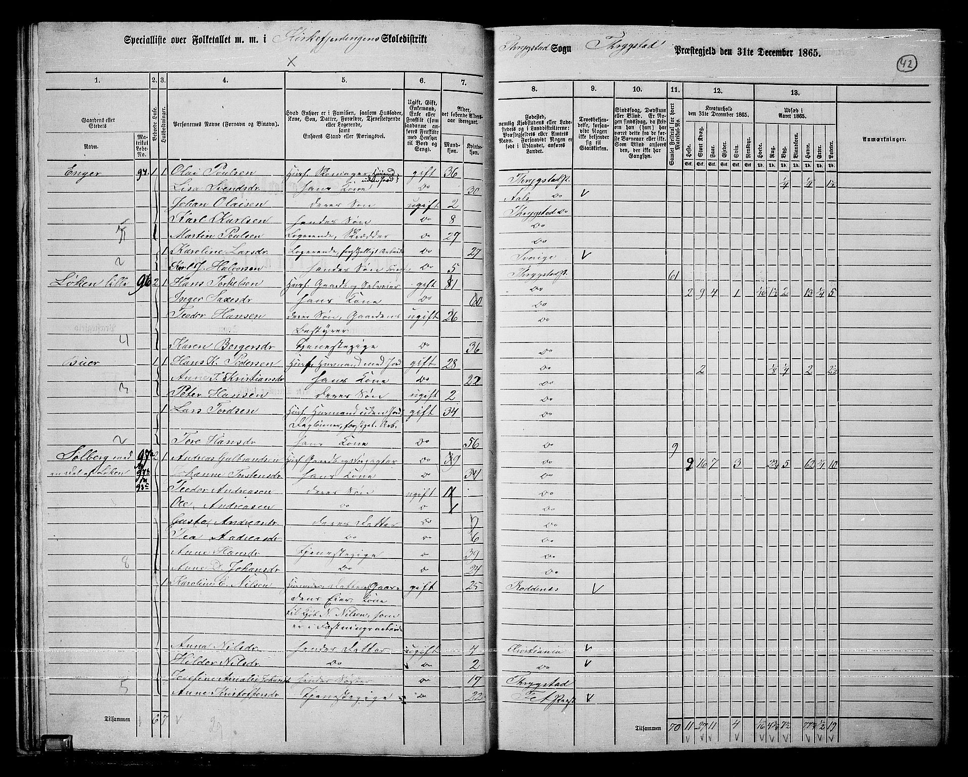 RA, 1865 census for Trøgstad, 1865, p. 41