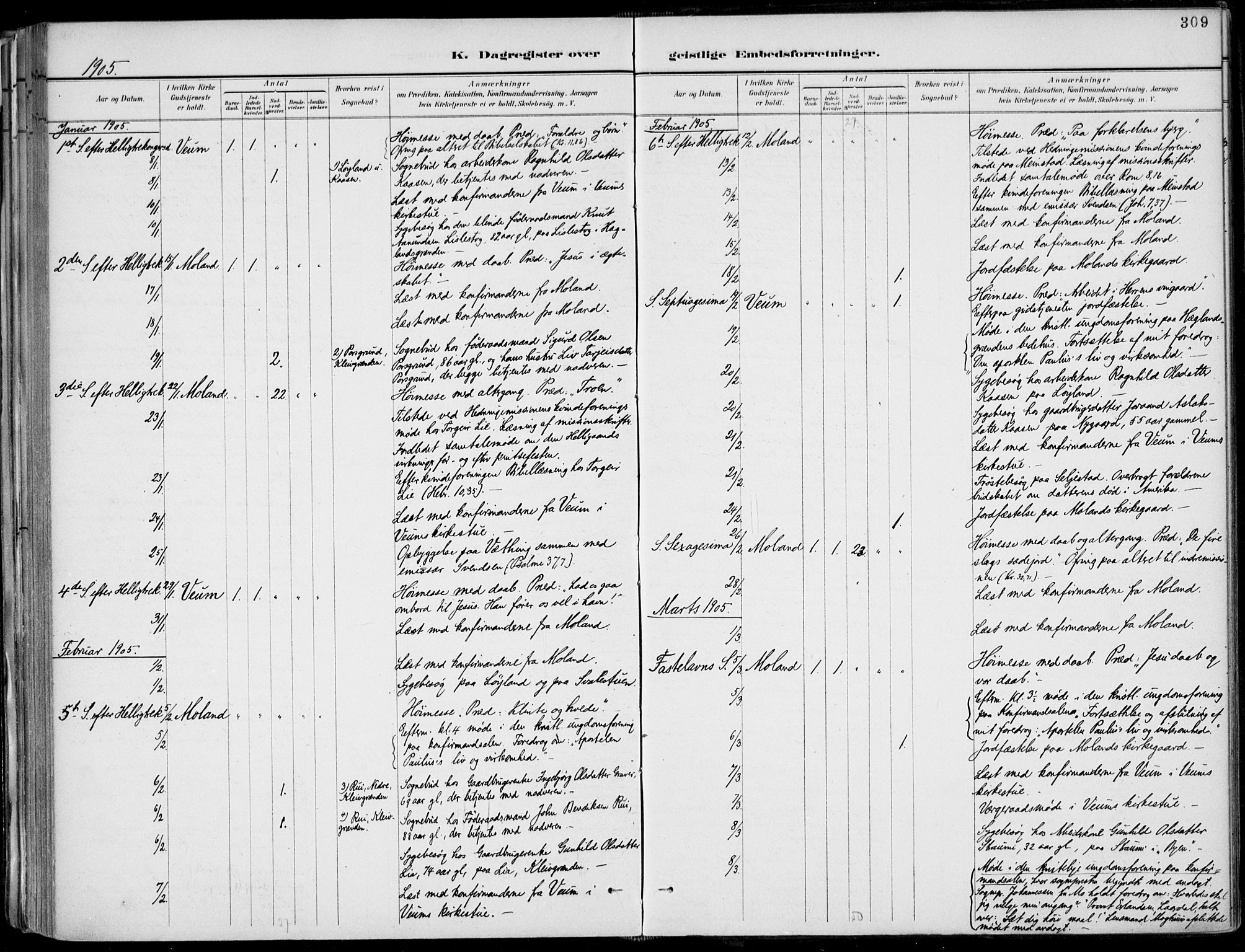 Fyresdal kirkebøker, AV/SAKO-A-263/F/Fa/L0007: Parish register (official) no. I 7, 1887-1914, p. 309