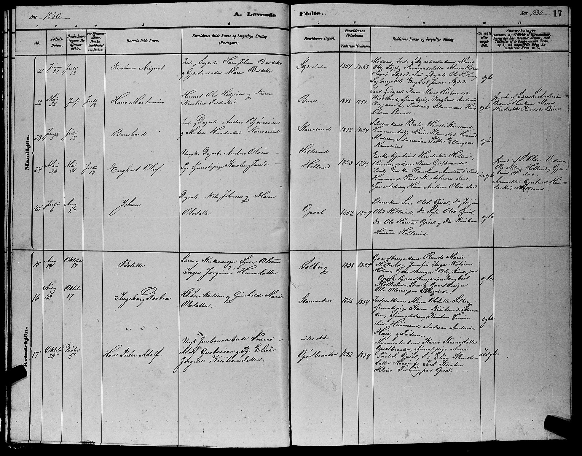 Hole kirkebøker, AV/SAKO-A-228/G/Gb/L0002: Parish register (copy) no. II 2, 1878-1889, p. 17