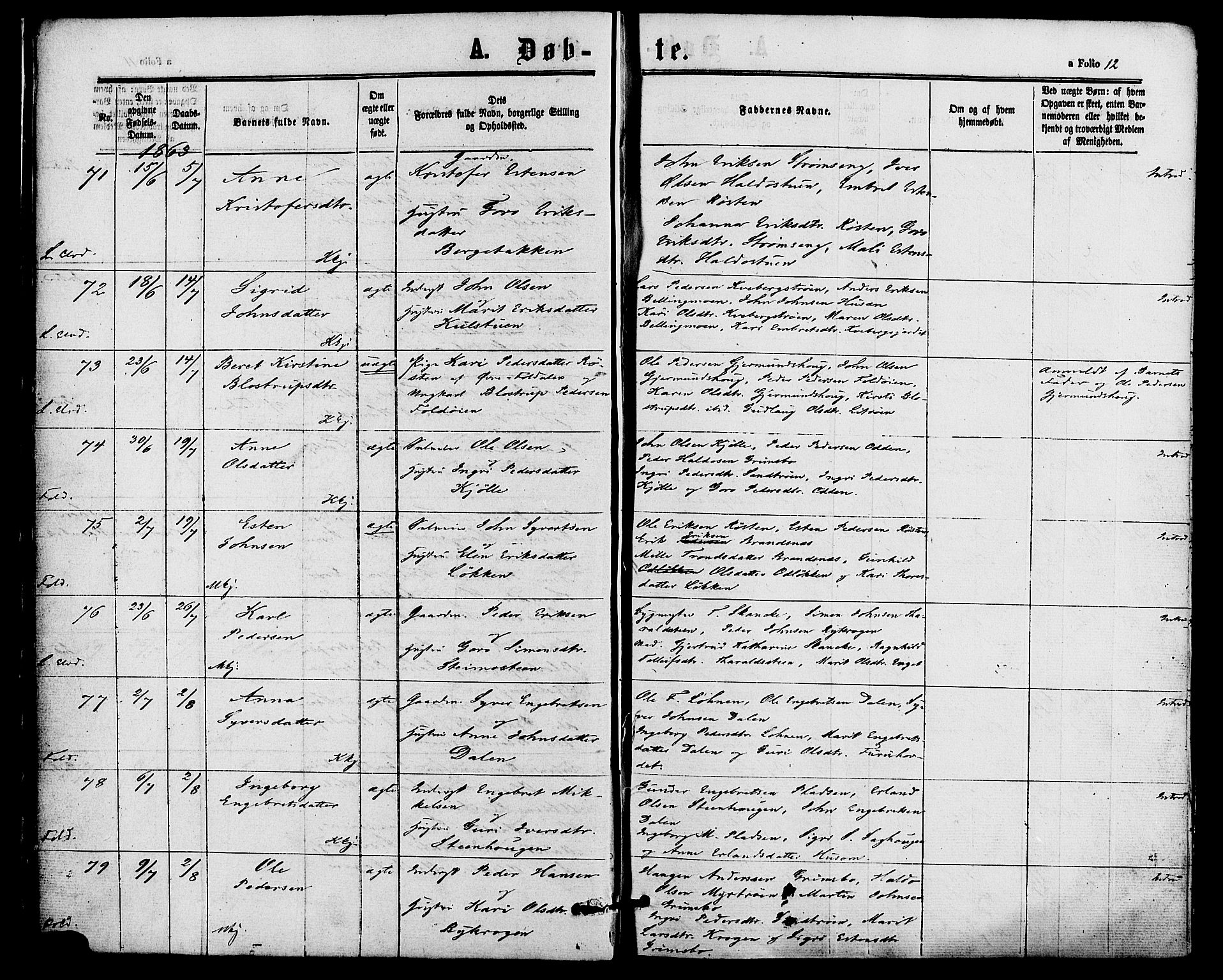 Alvdal prestekontor, AV/SAH-PREST-060/H/Ha/Haa/L0001: Parish register (official) no. 1, 1863-1882, p. 12