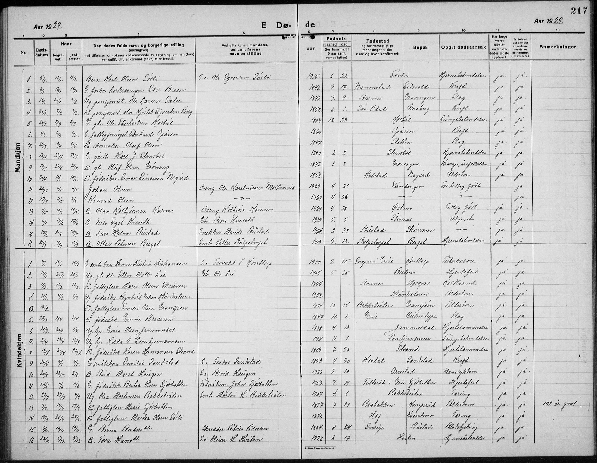 Hof prestekontor, SAH/PREST-038/H/Ha/Hab/L0002: Parish register (copy) no. 2, 1915-1934, p. 217