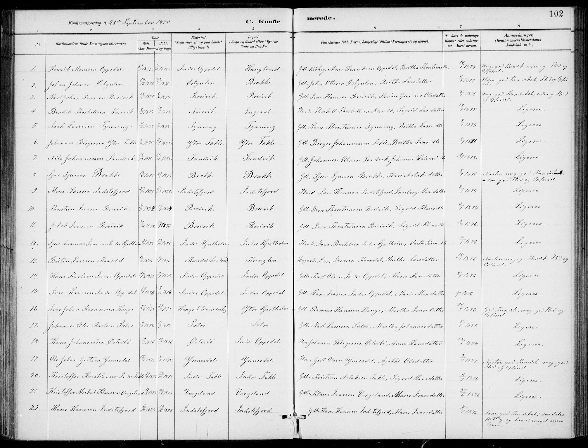 Gulen sokneprestembete, SAB/A-80201/H/Haa/Haac/L0002: Parish register (official) no. C  2, 1882-1914, p. 102