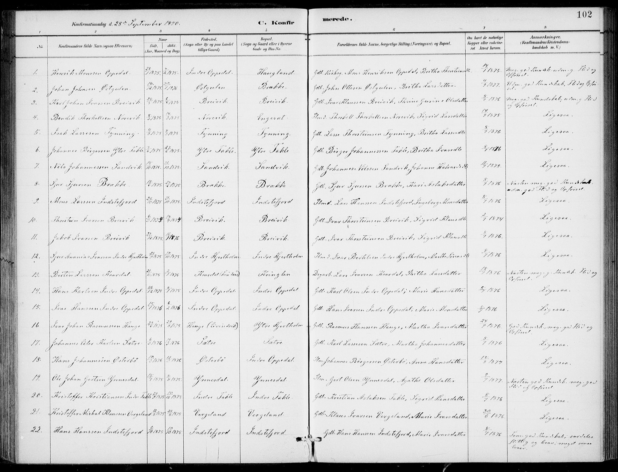 Gulen sokneprestembete, AV/SAB-A-80201/H/Haa/Haac/L0002: Parish register (official) no. C  2, 1882-1914, p. 102