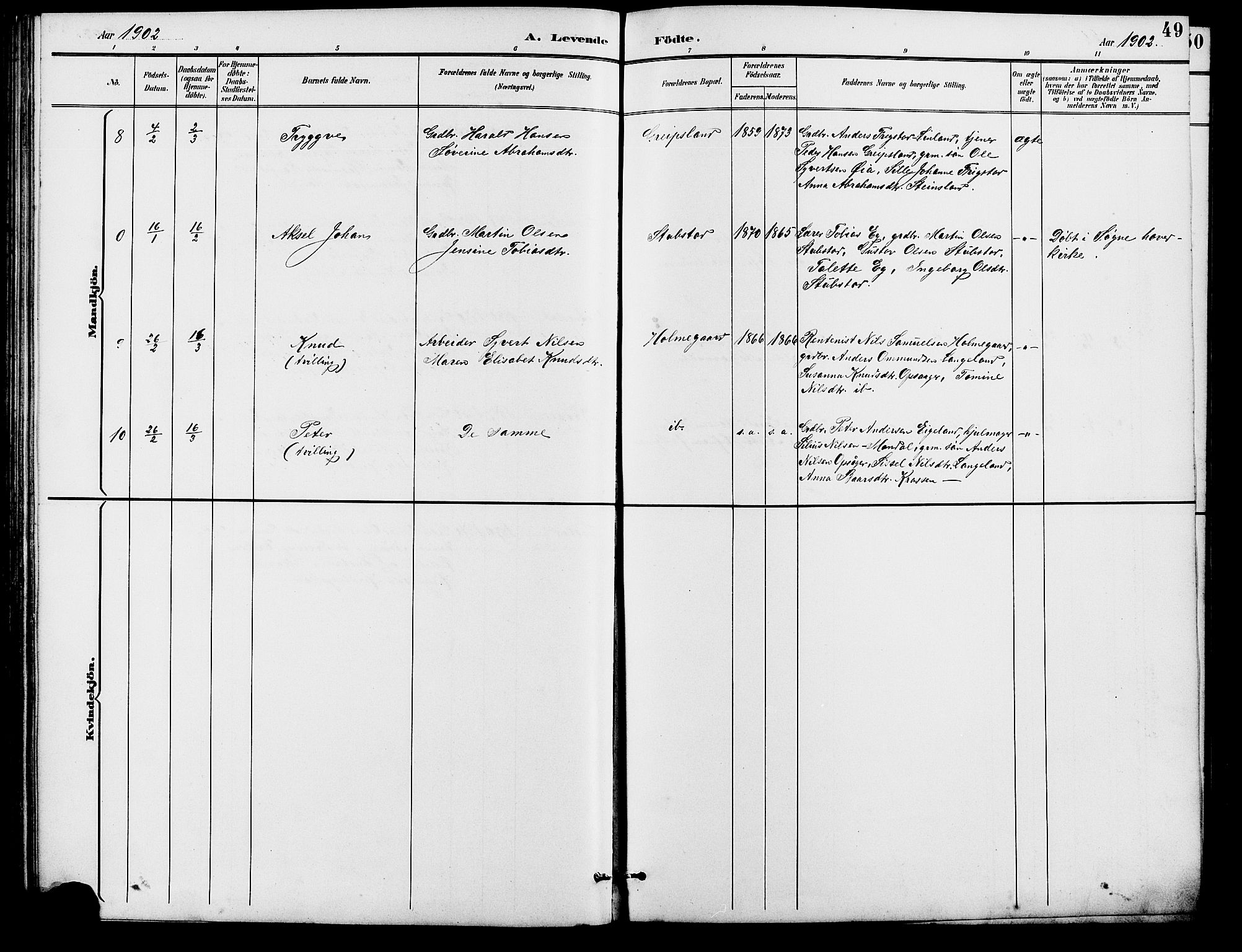 Holum sokneprestkontor, SAK/1111-0022/F/Fb/Fba/L0005: Parish register (copy) no. B 5, 1891-1909, p. 49