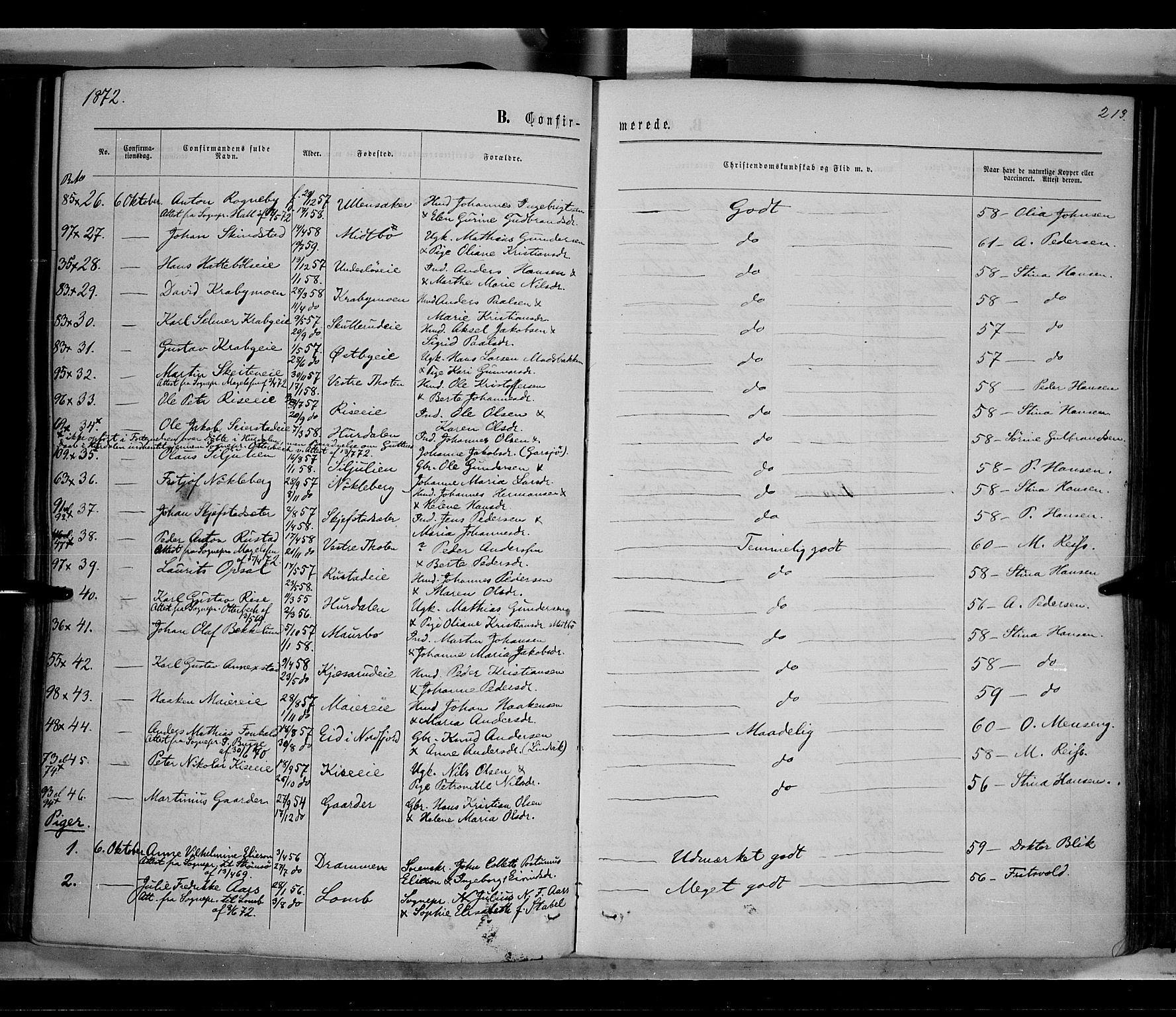 Østre Toten prestekontor, SAH/PREST-104/H/Ha/Haa/L0005: Parish register (official) no. 5, 1866-1877, p. 213