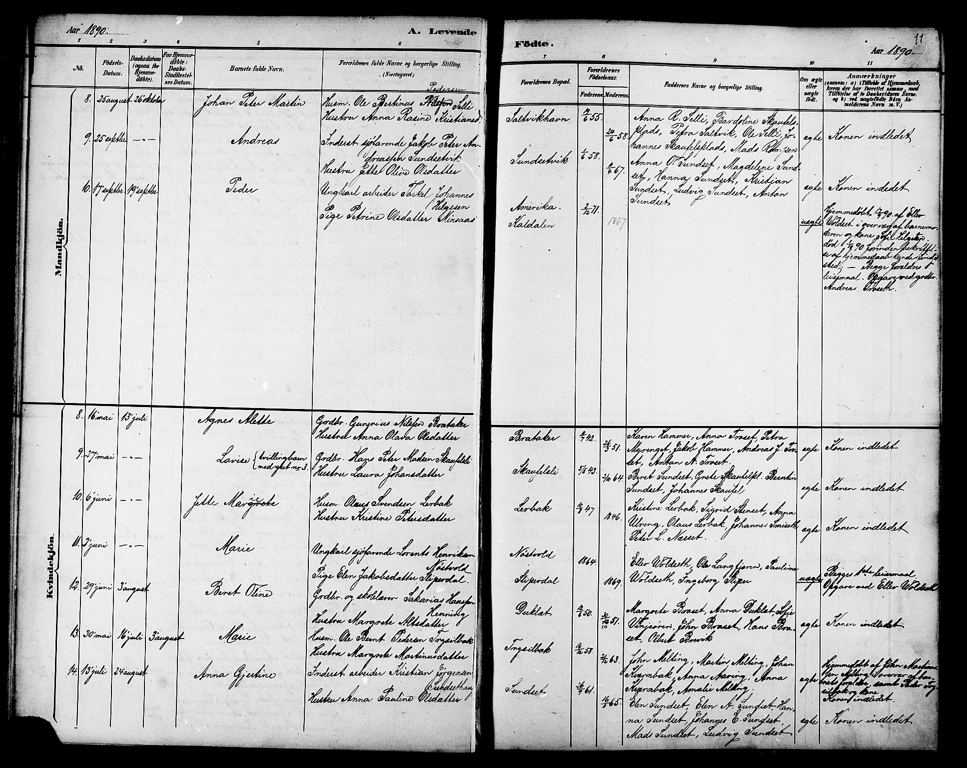 Ministerialprotokoller, klokkerbøker og fødselsregistre - Nord-Trøndelag, SAT/A-1458/733/L0327: Parish register (copy) no. 733C02, 1888-1918, p. 11