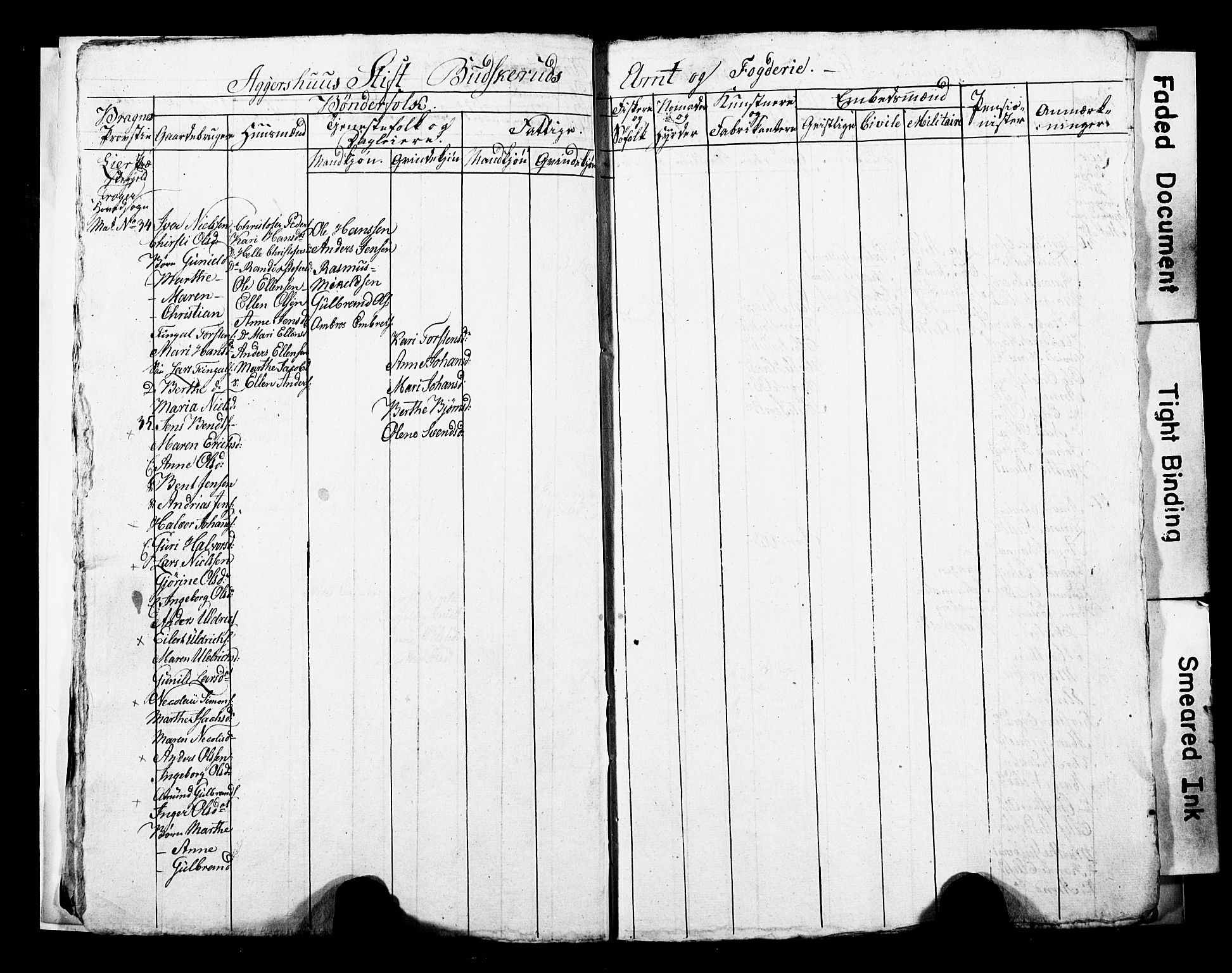 SAKO, 1815 Census for Lier parish, 1815, p. 10