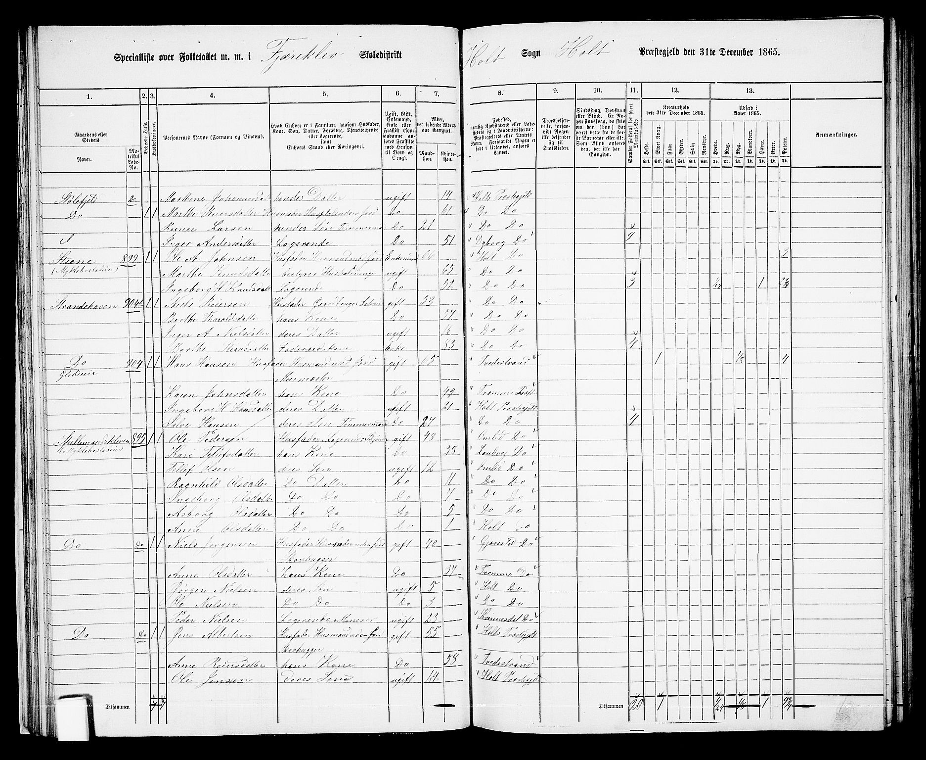 RA, 1865 census for Holt/Holt, 1865, p. 38