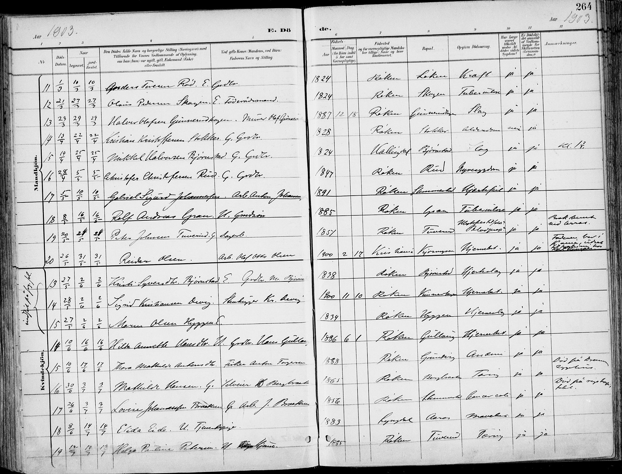 Røyken kirkebøker, AV/SAKO-A-241/F/Fa/L0009: Parish register (official) no. 9, 1898-1911, p. 264