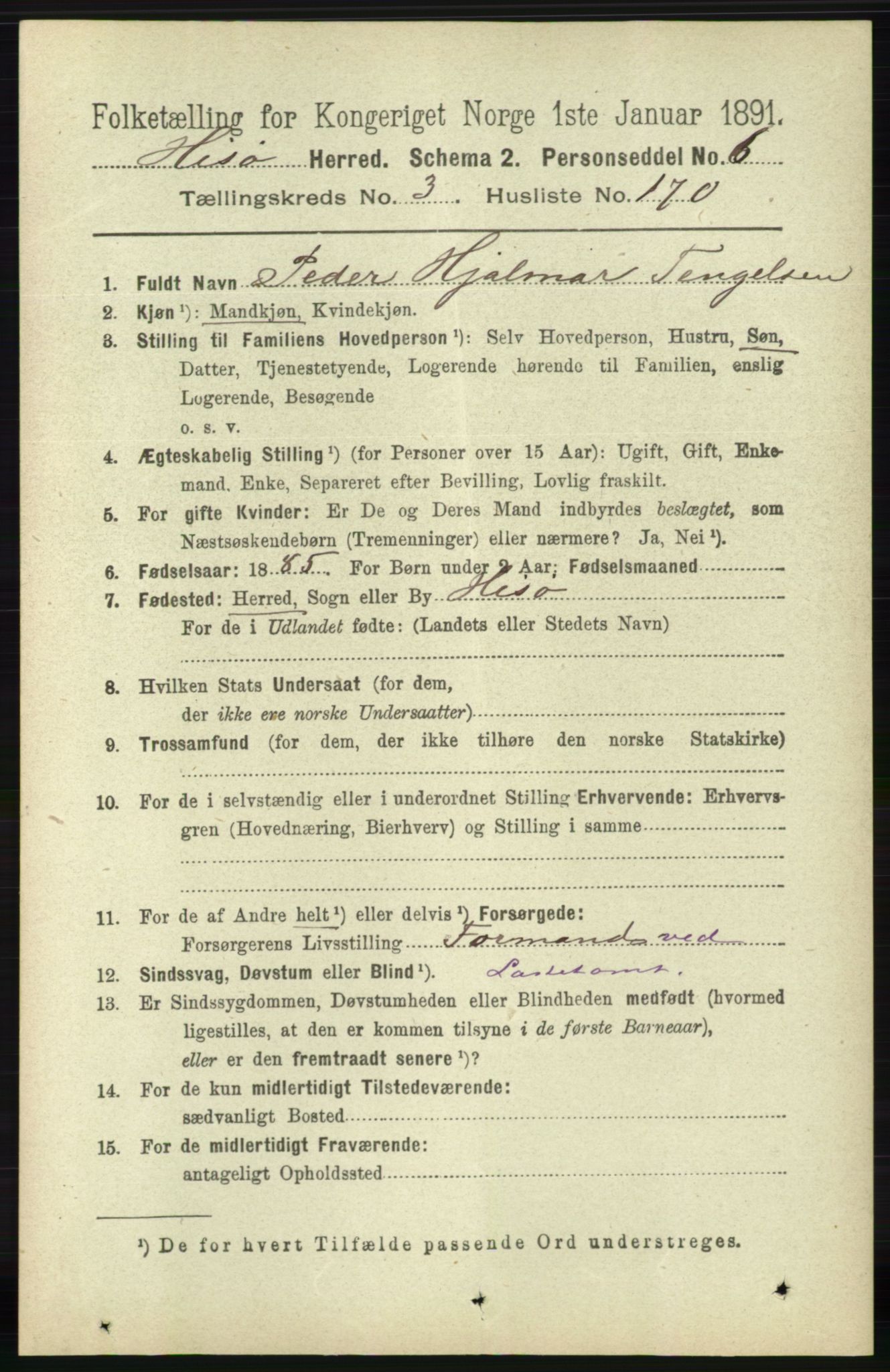 RA, 1891 census for 0922 Hisøy, 1891, p. 3224