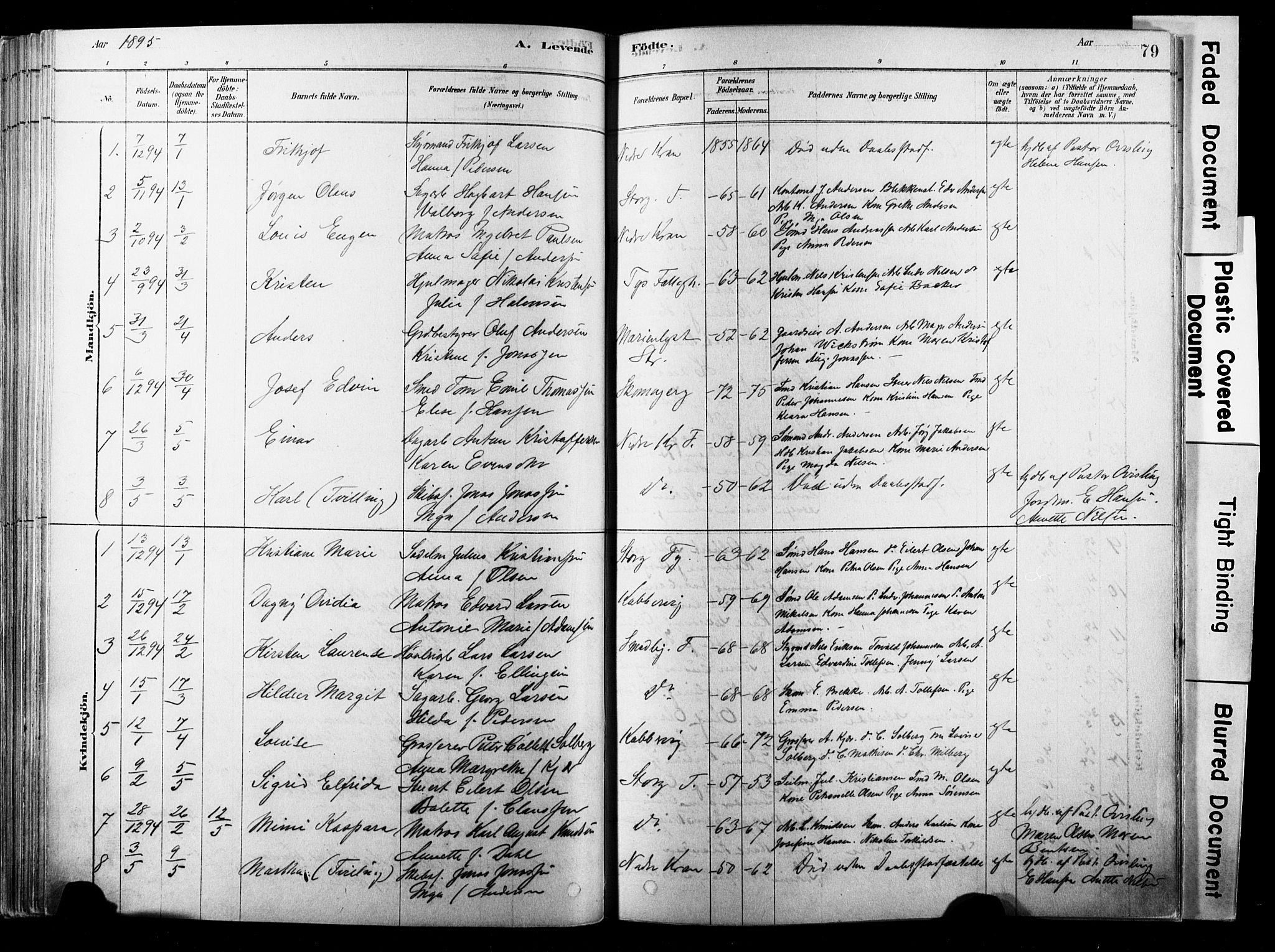 Strømsø kirkebøker, SAKO/A-246/F/Fb/L0006: Parish register (official) no. II 6, 1879-1910, p. 79