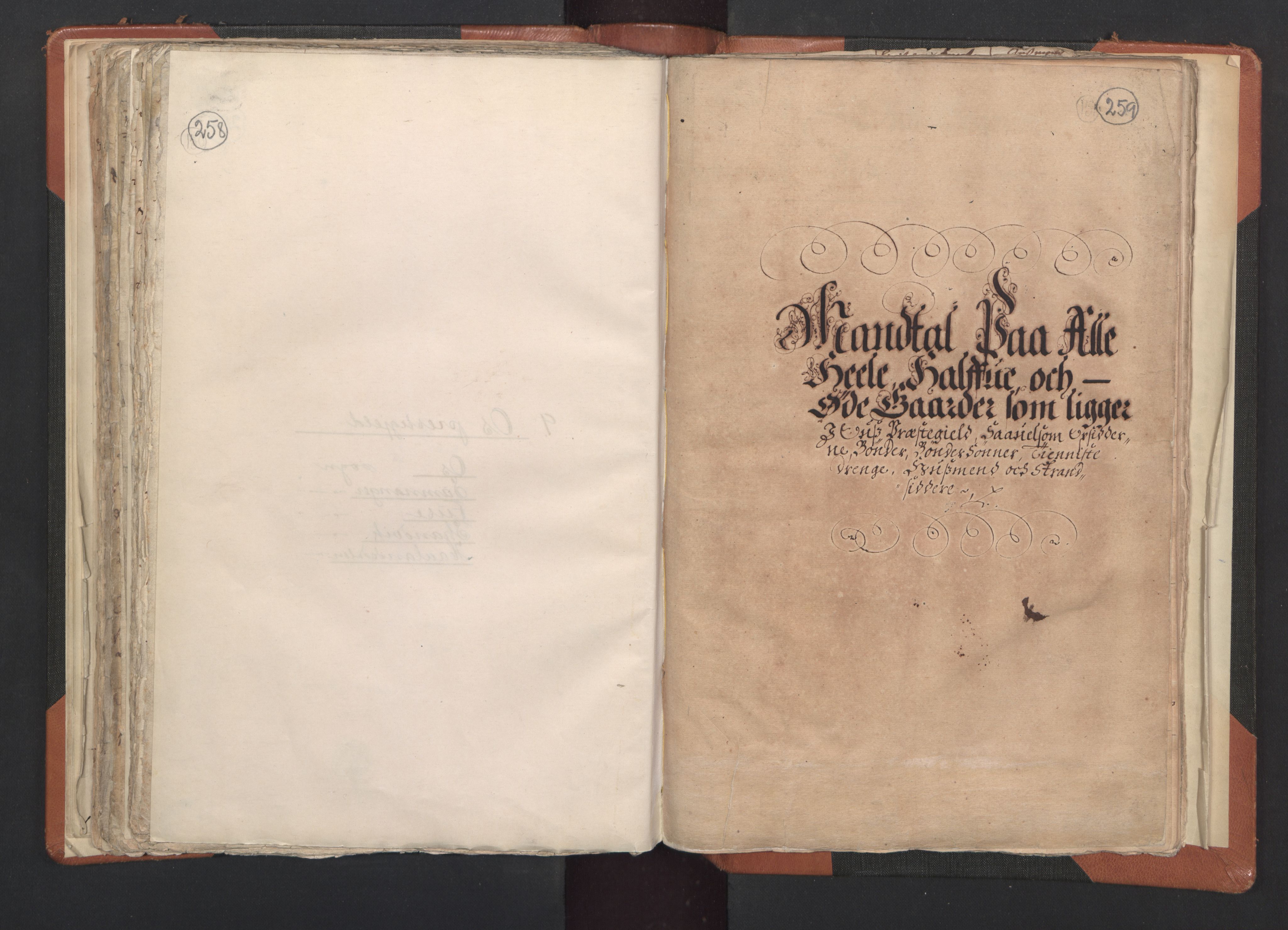 RA, Vicar's Census 1664-1666, no. 20: Sunnhordland deanery, 1664-1666, p. 258-259