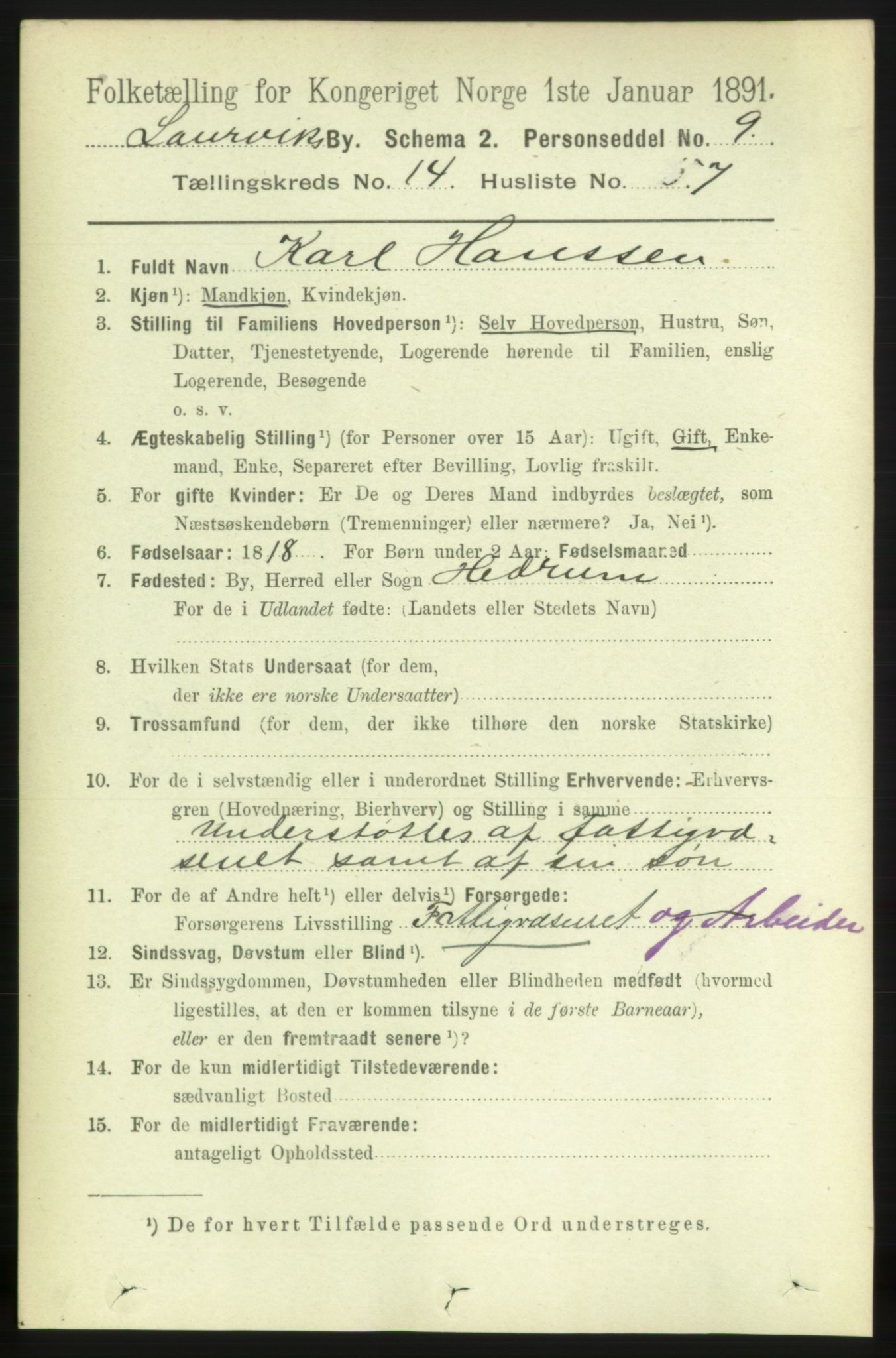 RA, 1891 census for 0707 Larvik, 1891, p. 11032