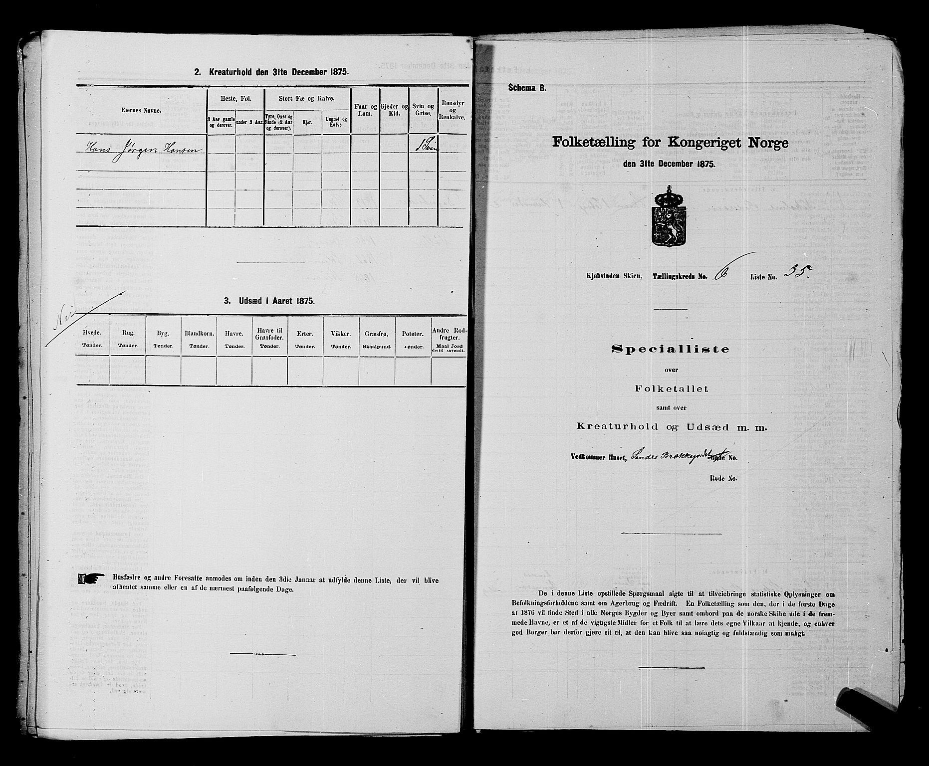 SAKO, 1875 census for 0806P Skien, 1875, p. 1033