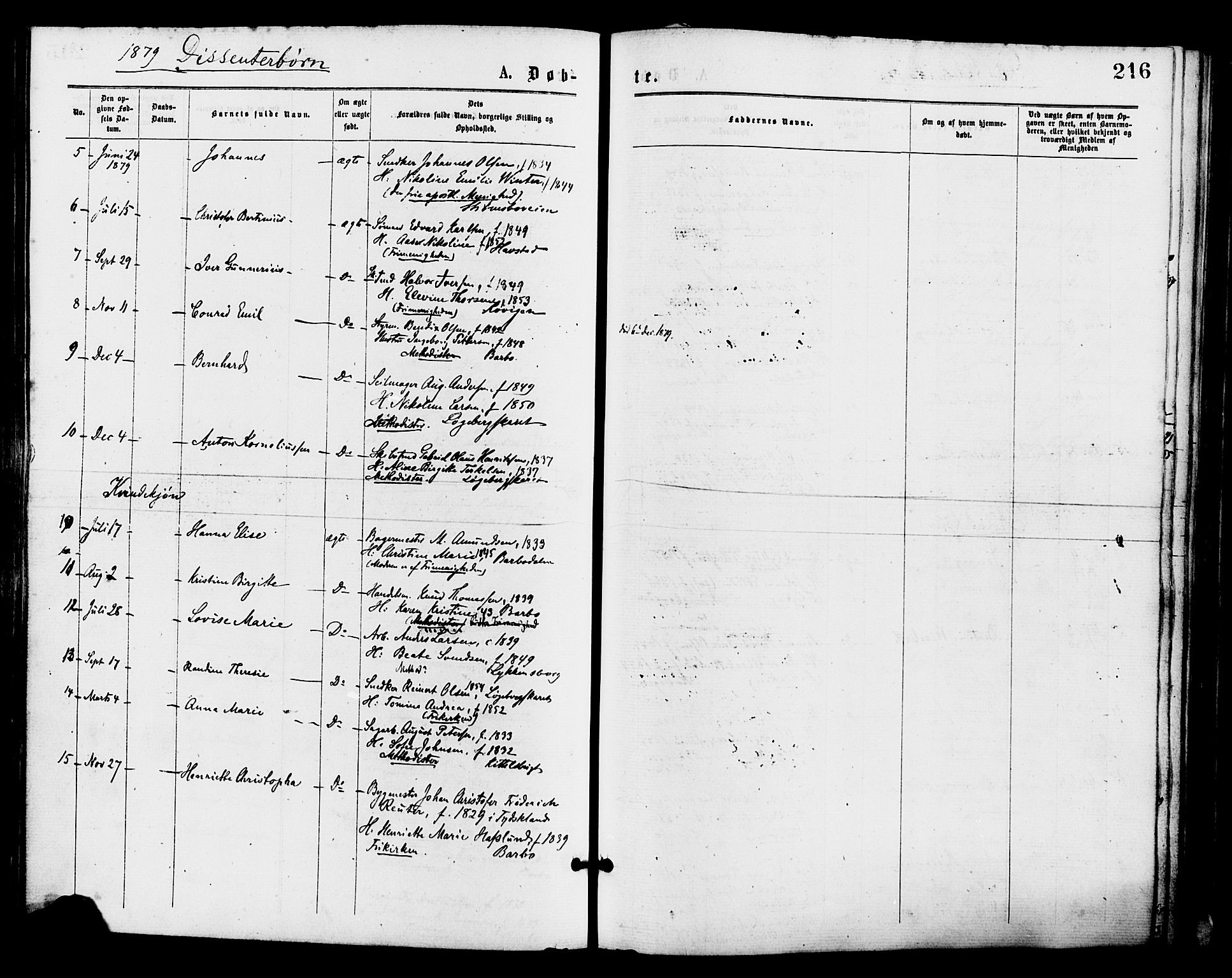 Barbu sokneprestkontor, SAK/1111-0003/F/Fa/L0001: Parish register (official) no. A 1 /1, 1878-1883, p. 216