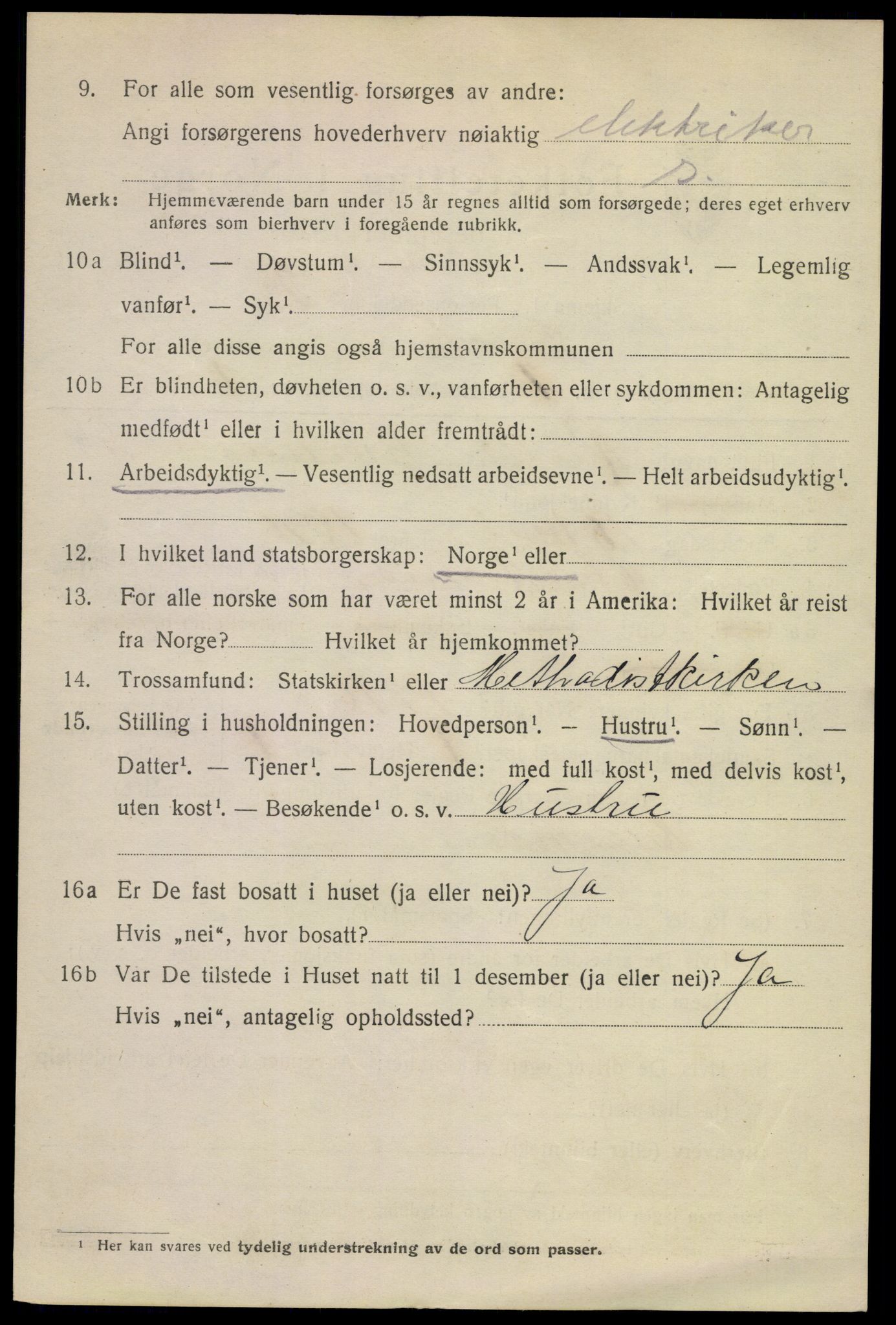 SAKO, 1920 census for Larvik, 1920, p. 16055