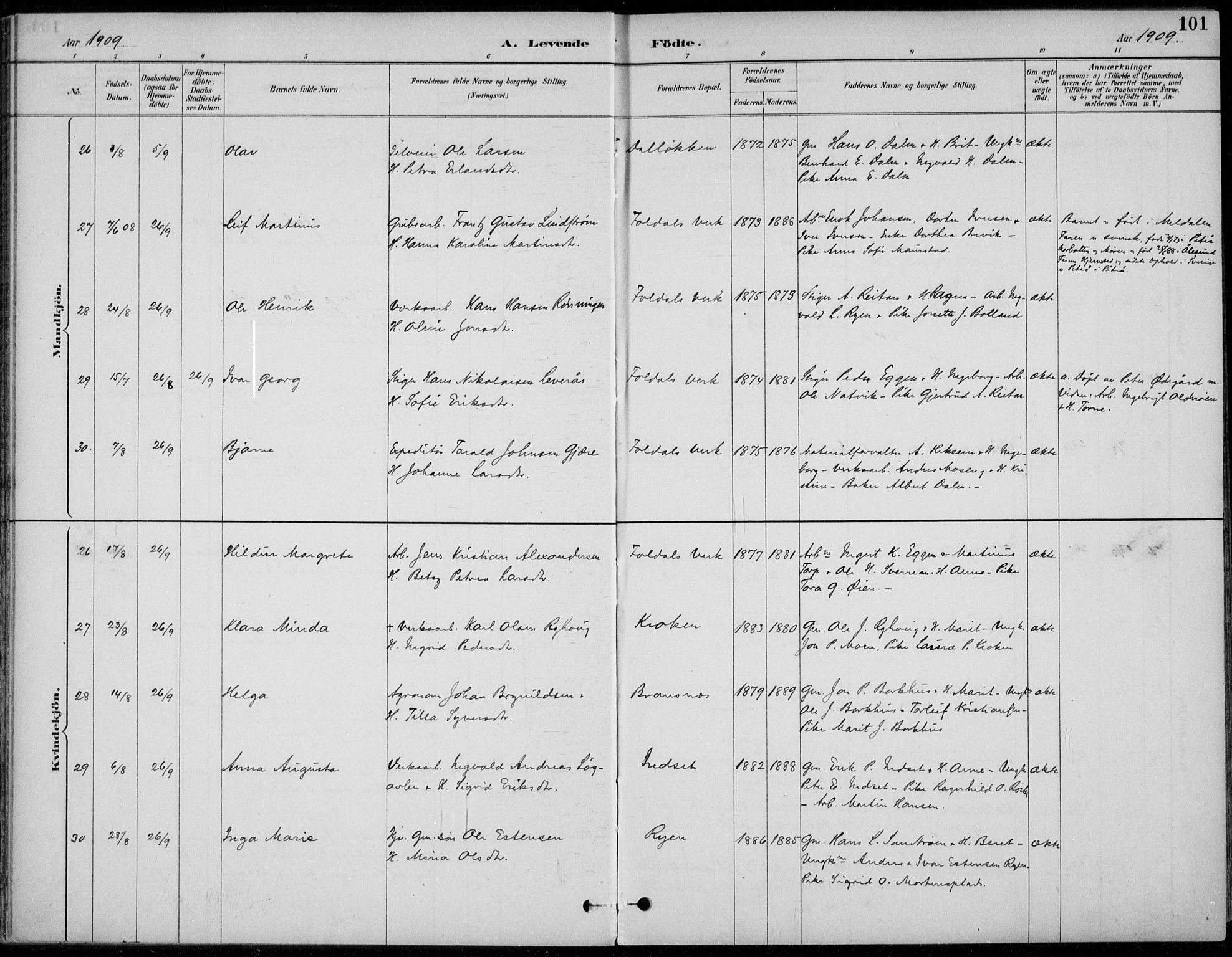 Alvdal prestekontor, SAH/PREST-060/H/Ha/Haa/L0003: Parish register (official) no. 3, 1886-1912, p. 101