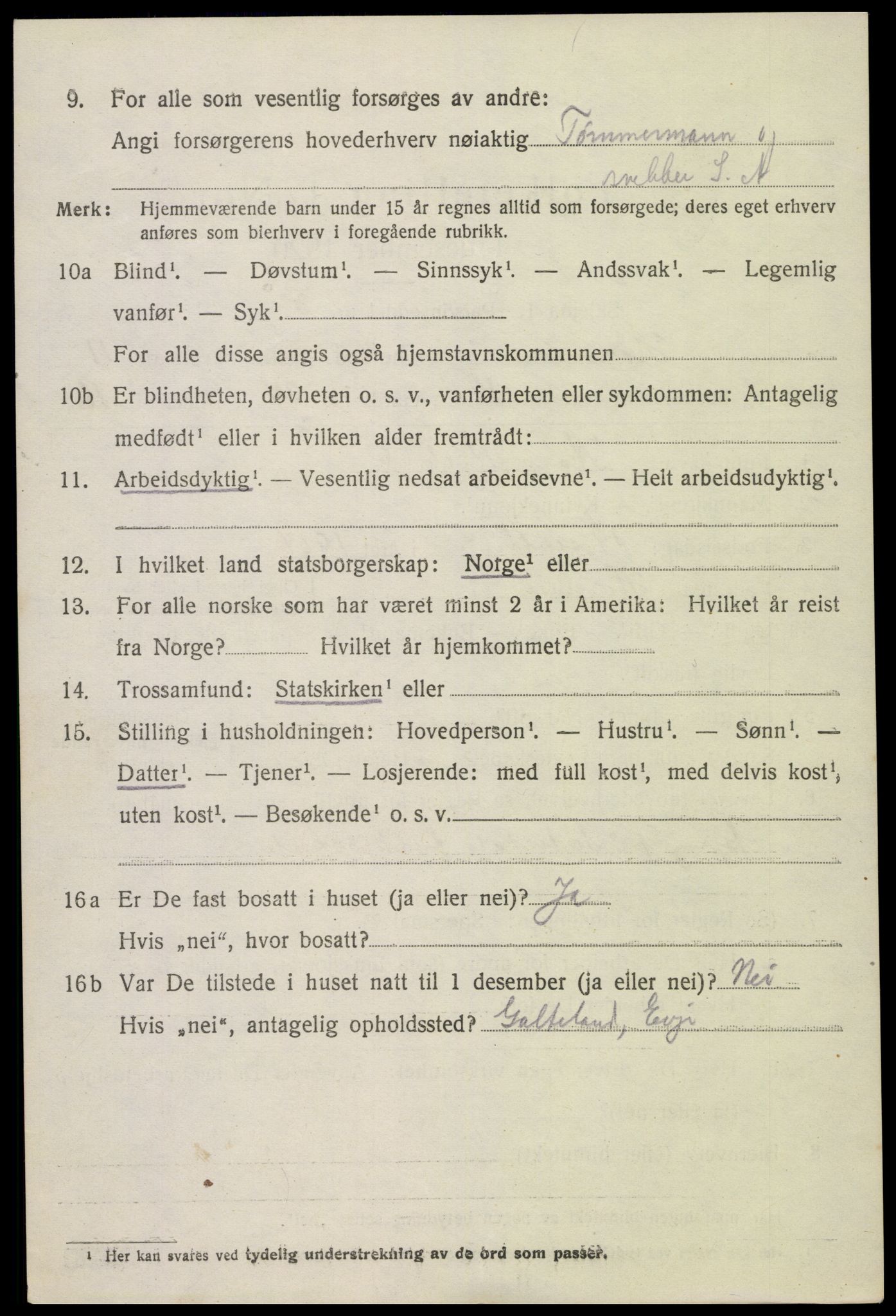 SAK, 1920 census for Hornnes, 1920, p. 2868